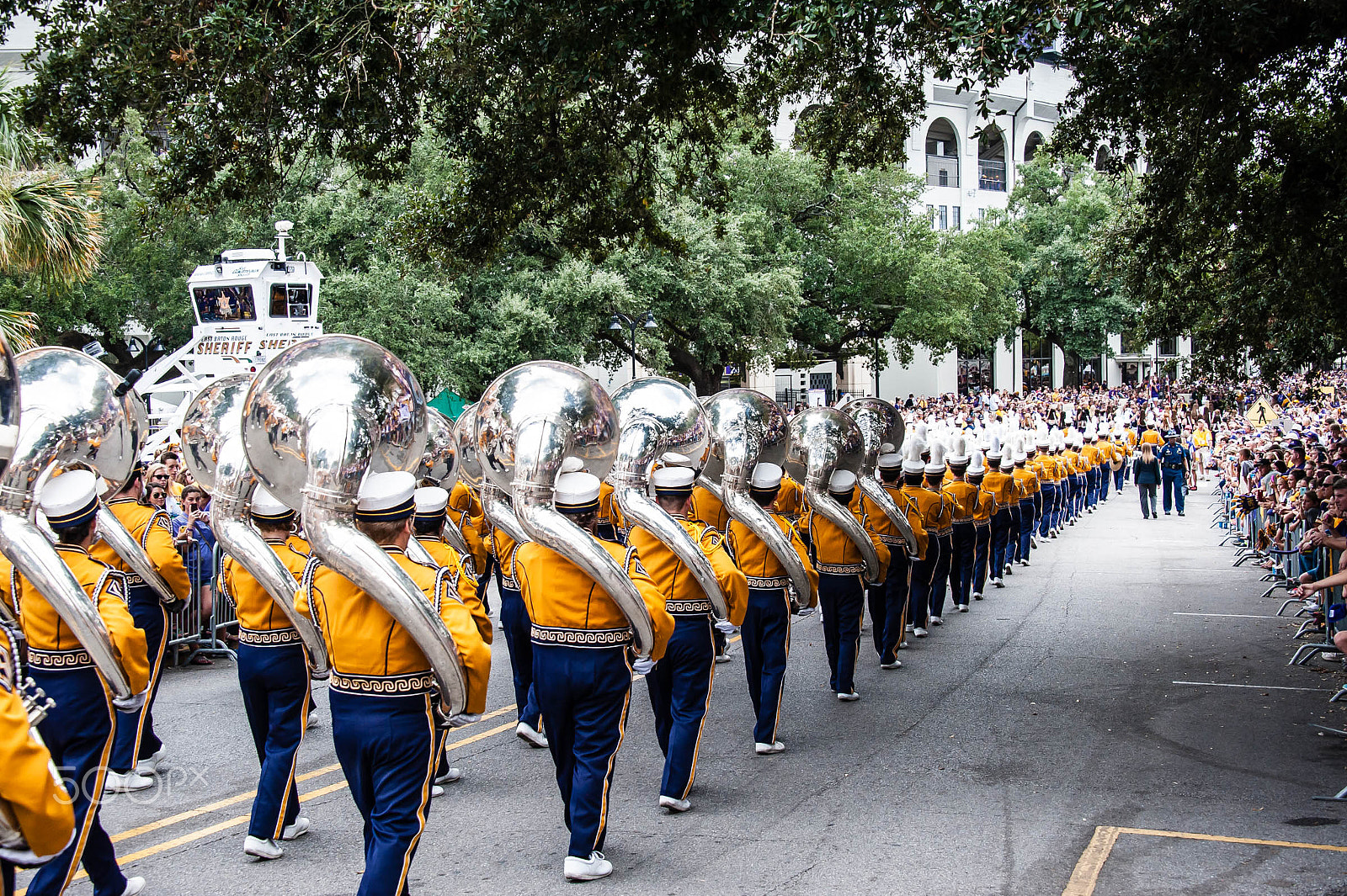 Nikon D3 sample photo. Lsu golden band photography