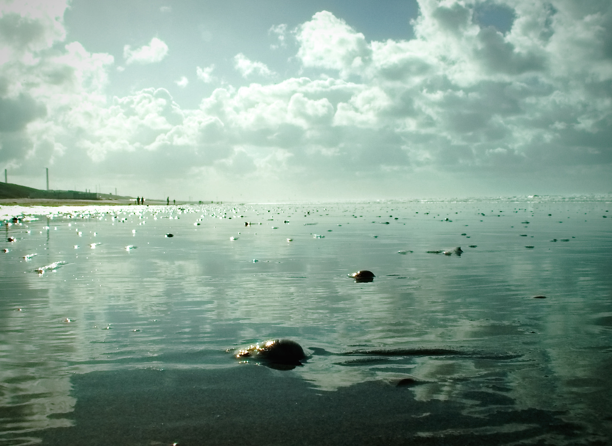 KONICA MINOLTA DiMAGE Z5 sample photo. Seascape photography