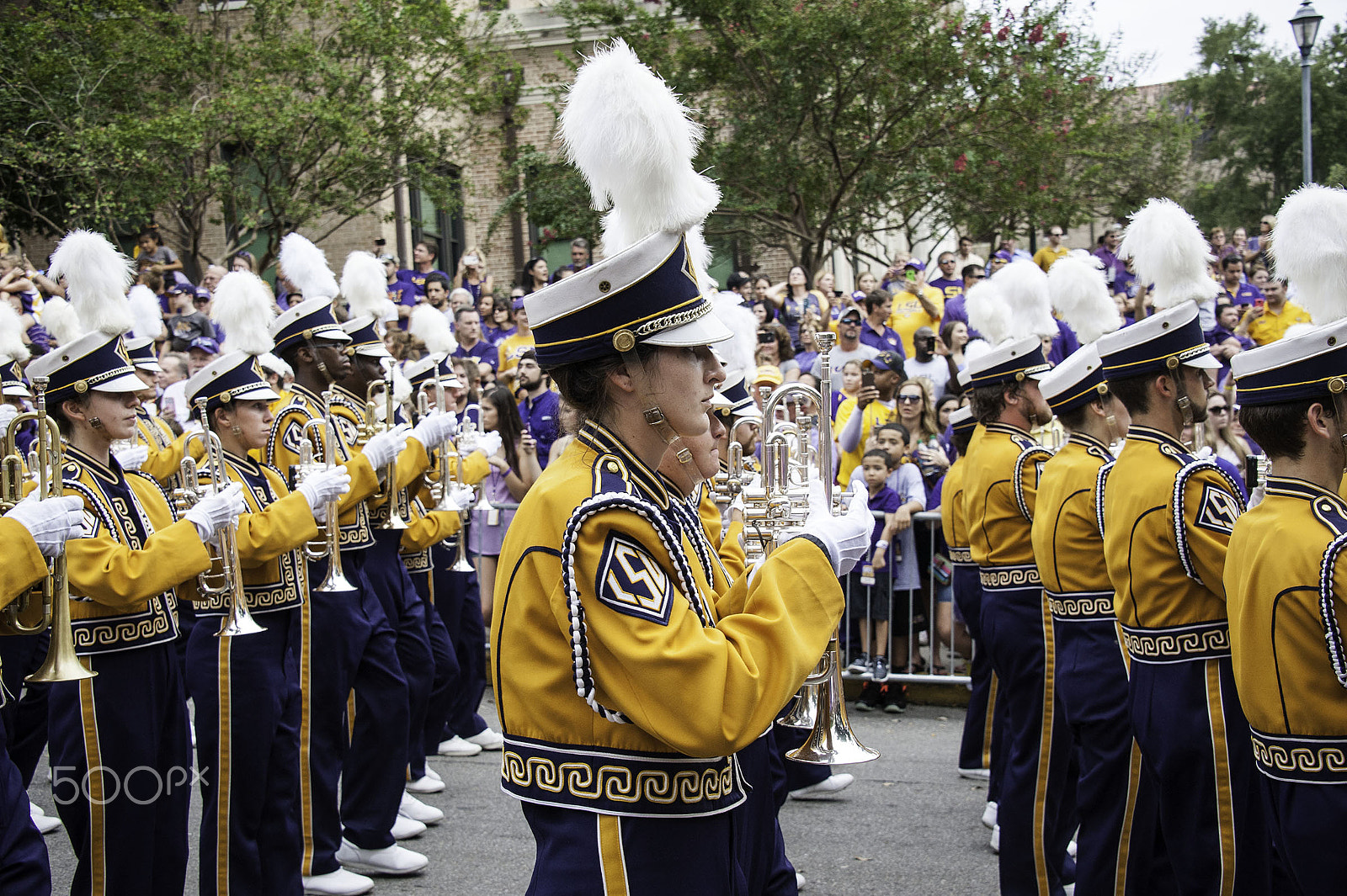 Nikon D3 sample photo. Lsu golden band photography