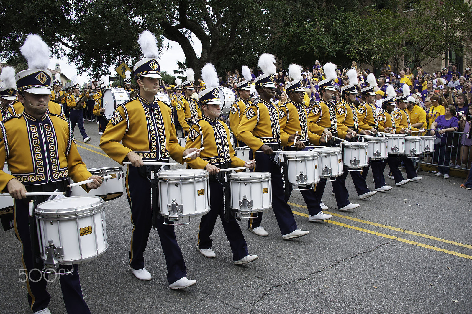 Nikon D3 sample photo. Lsu golden band photography