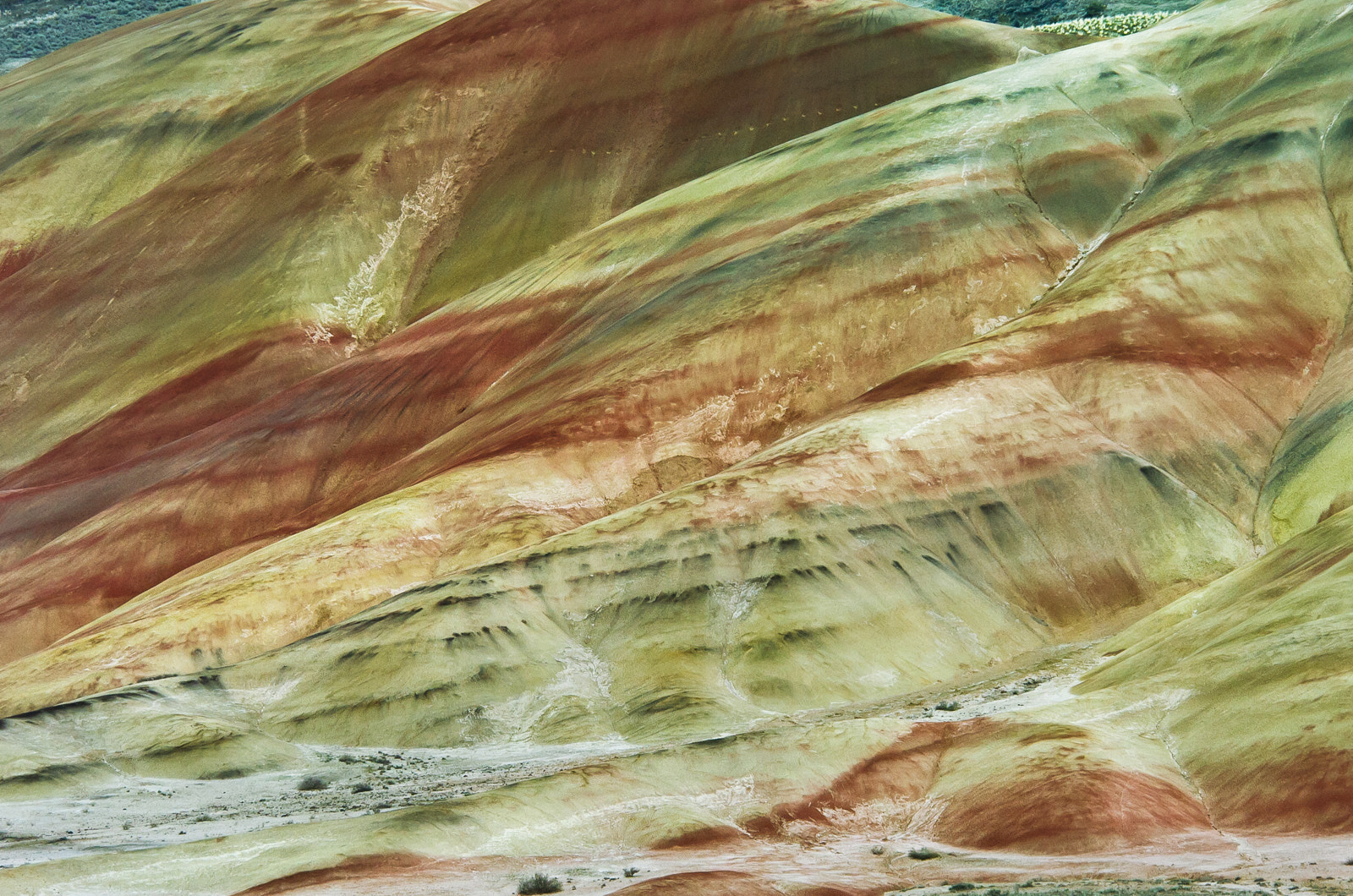 Nikon D2H sample photo. Painted hills photography