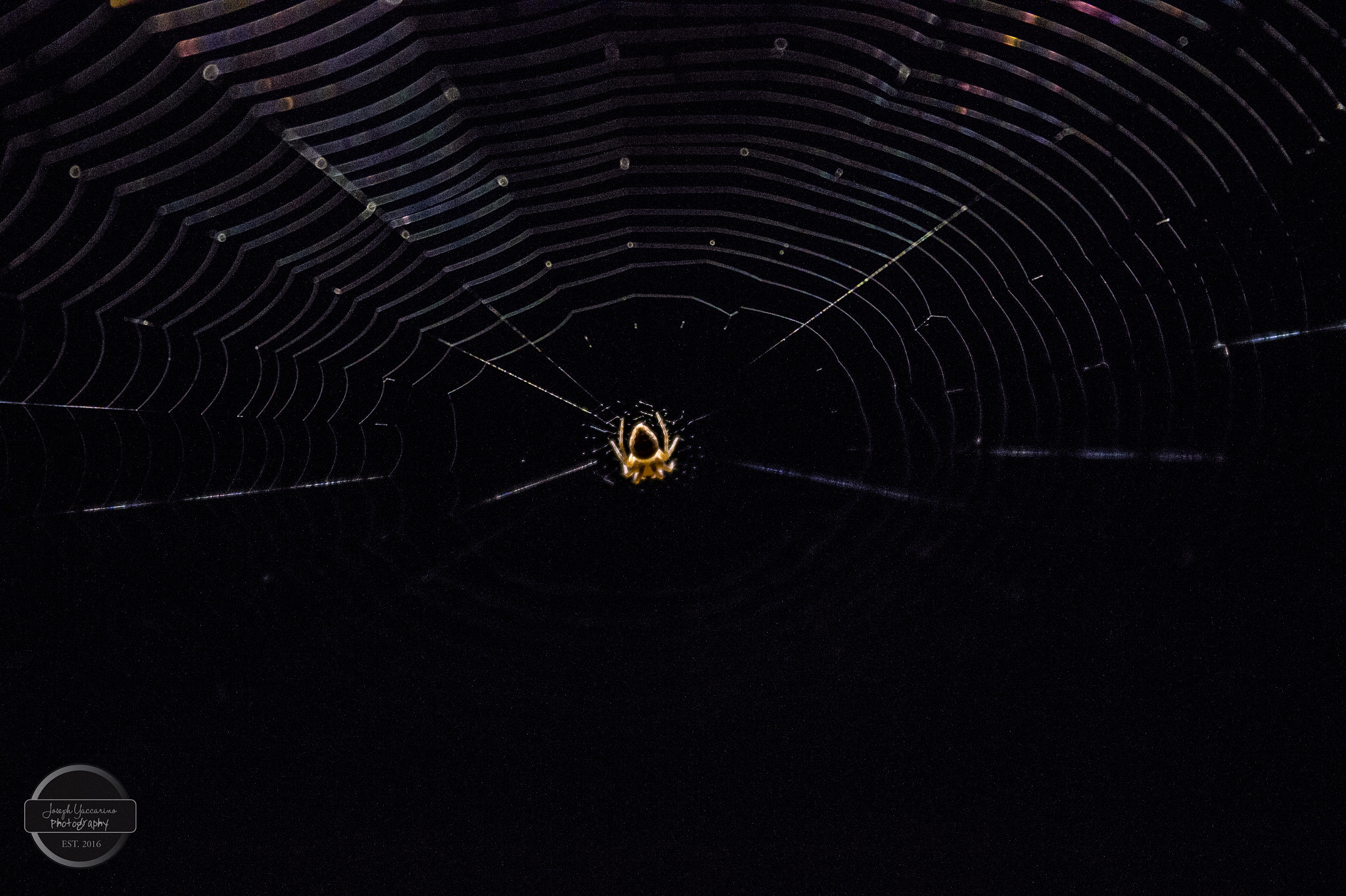 Canon EF-S 18-55mm F3.5-5.6 II sample photo. Nyc photography