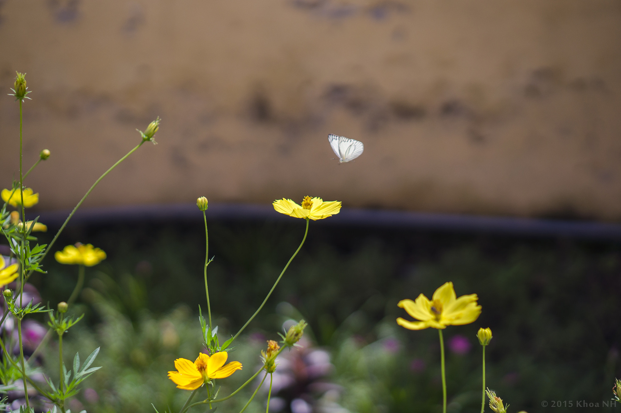 Sony Alpha NEX-5N + E 50mm F1.8 OSS sample photo. Landing photography