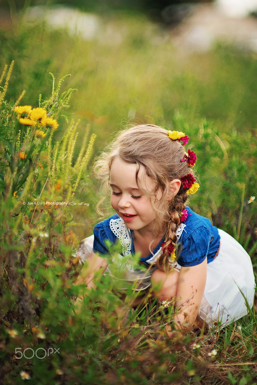 Nikon D750 + AF DC-Nikkor 135mm f/2D sample photo. Picking flowers photography