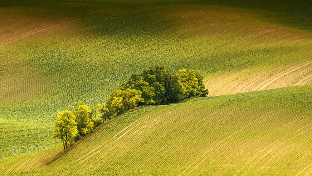 Pentax K-5 II sample photo. On the edge photography