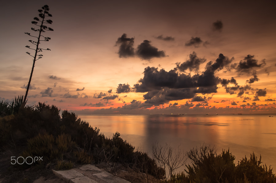 Pentax K-5 II sample photo. Behind the sun rises photography