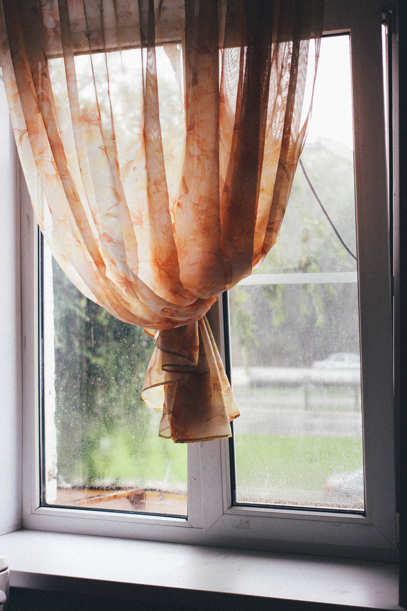 Canon EOS 50D + Canon EF 40mm F2.8 STM sample photo. My window photography