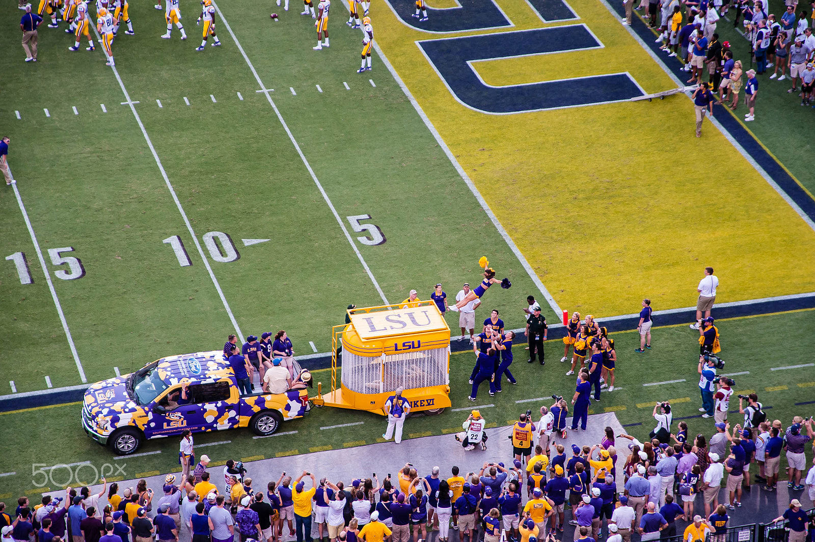 Nikon D3 + AF Zoom-Nikkor 24-120mm f/3.5-5.6D IF sample photo. Lsu mike the tiger photography