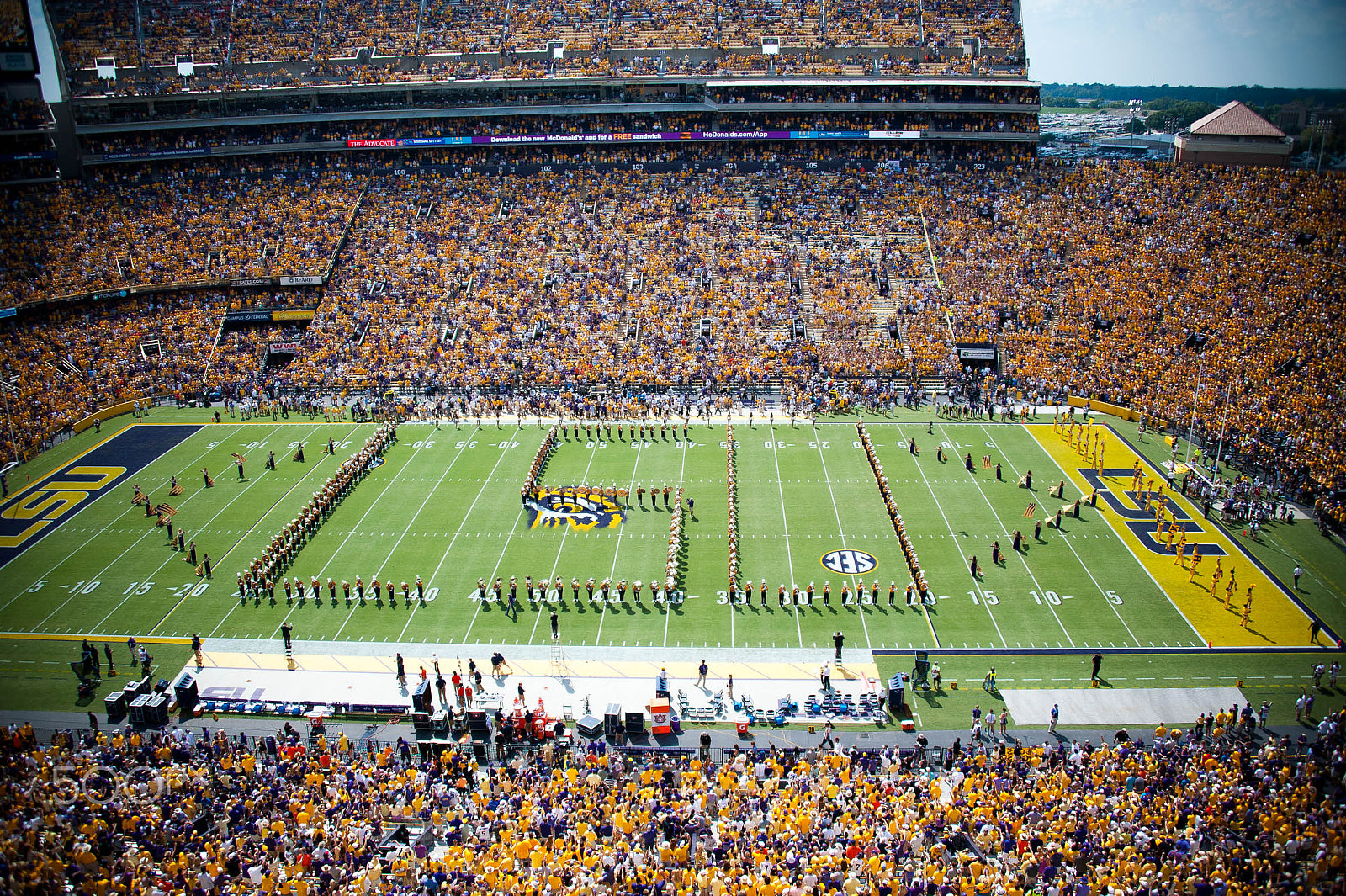 Nikon D3 sample photo. Lsu golden band photography