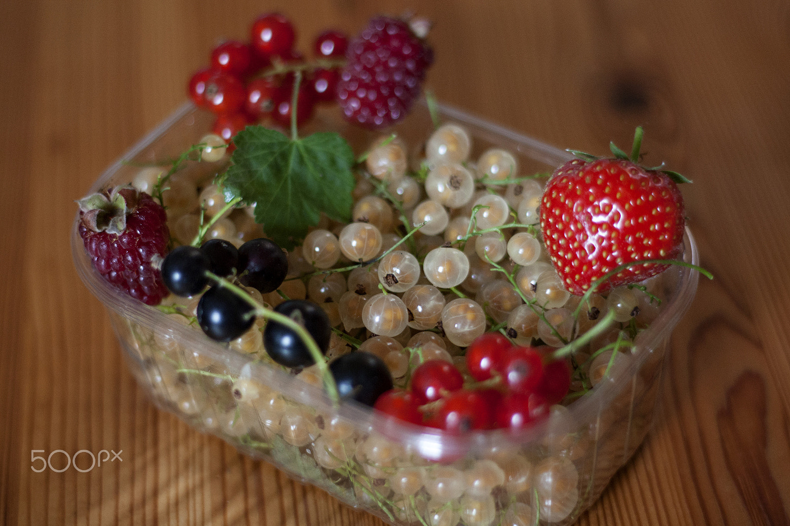 Canon EOS 450D (EOS Rebel XSi / EOS Kiss X2) + Canon EF 50mm F1.8 II sample photo. Berries! photography