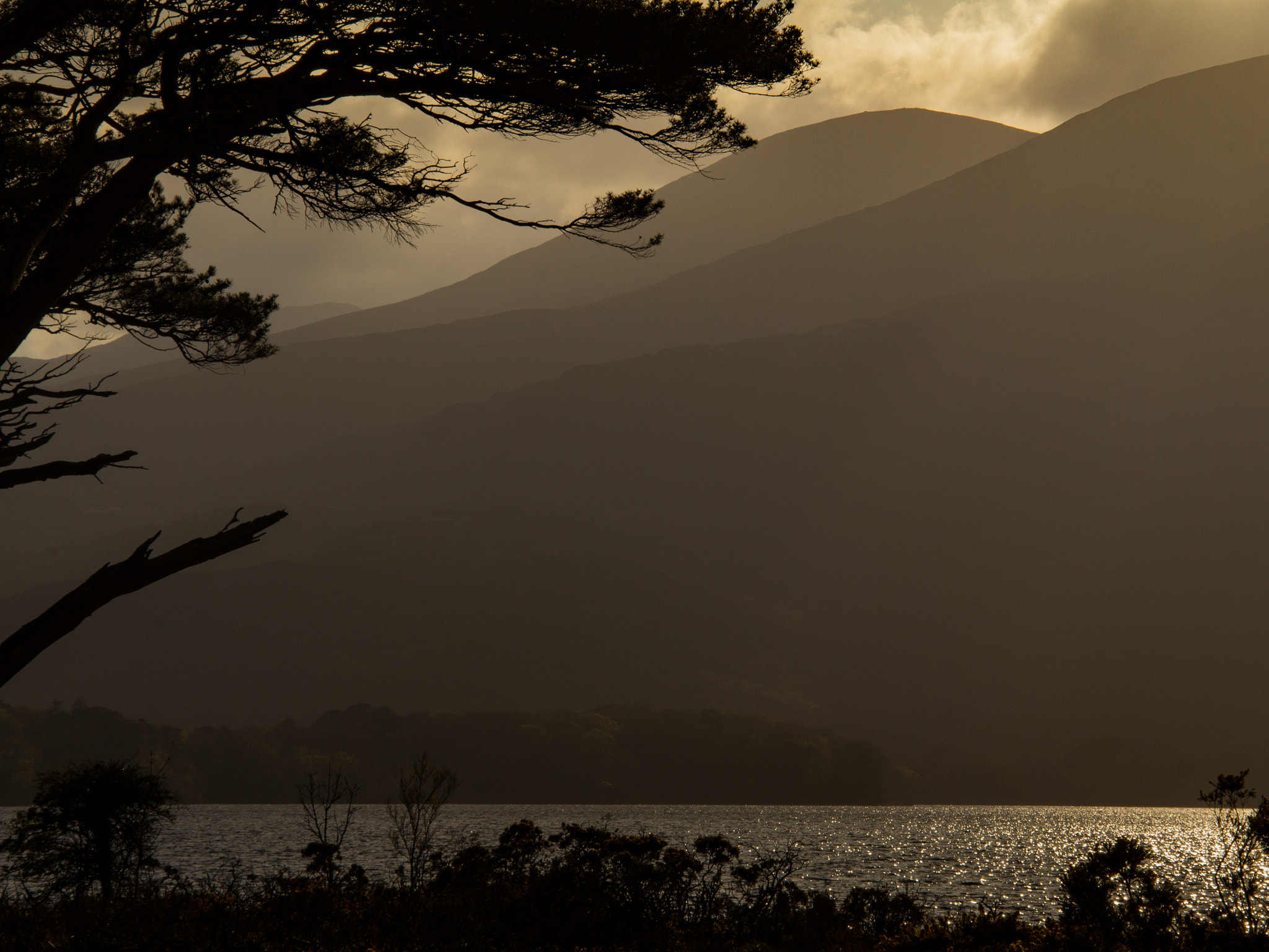 Sigma 18-200mm f/3.5-6.3 DC OS sample photo. Golden hour... photography