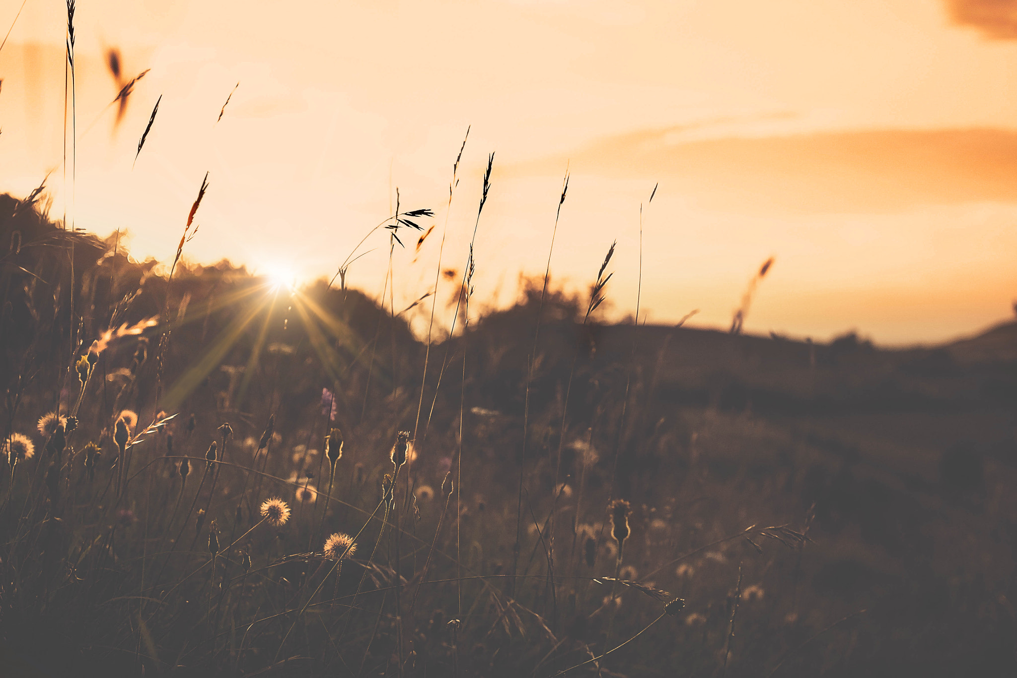 Panasonic Lumix DMC-GF6 + Sigma 30mm F2.8 DN Art sample photo. Golden sunset photography
