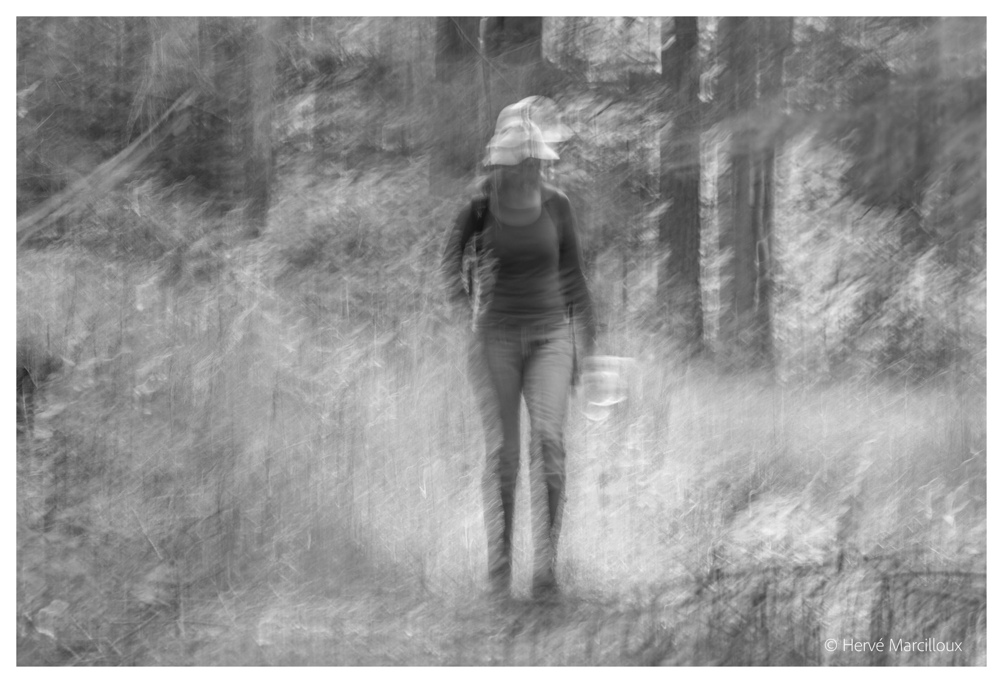 Sony SLT-A77 + 105mm F2.8 sample photo. In the forest photography