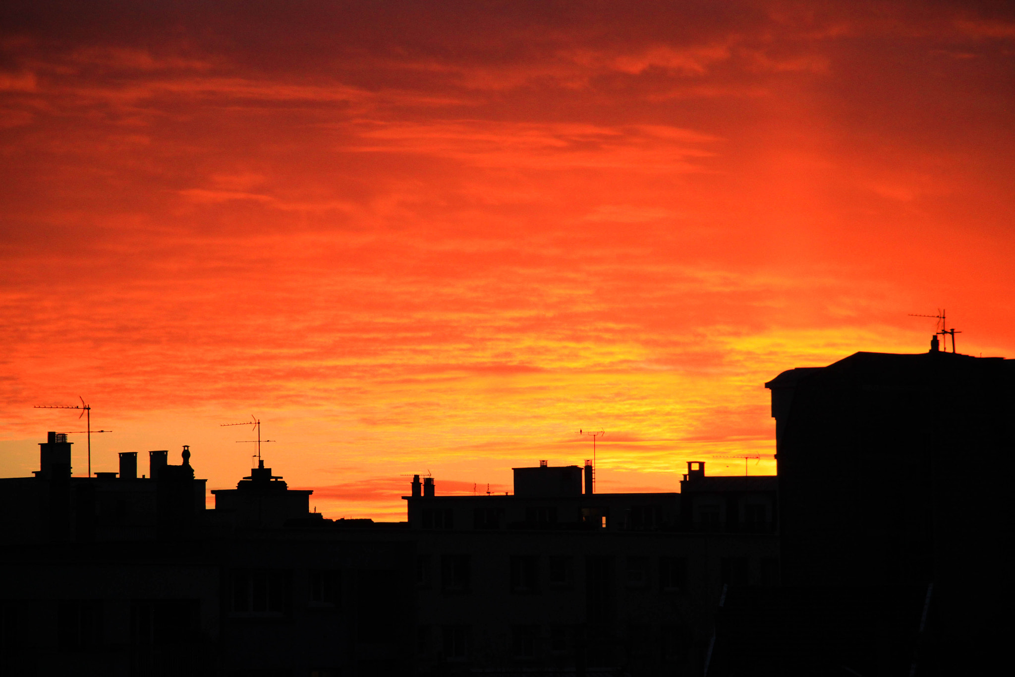 Canon EOS 500D (EOS Rebel T1i / EOS Kiss X3) sample photo. Autumn sunset photography