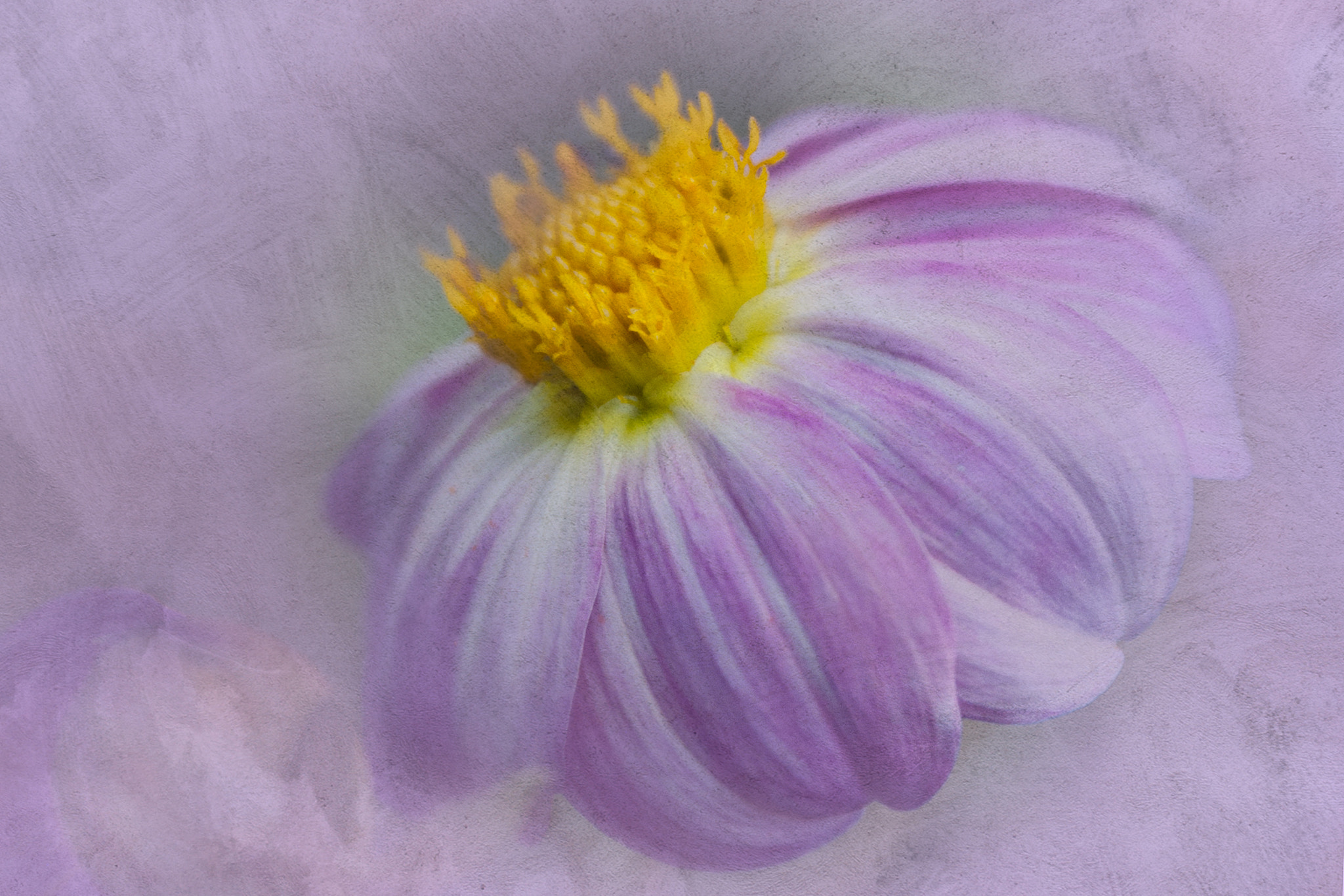Tamron SP 24-70mm F2.8 Di VC USD sample photo
