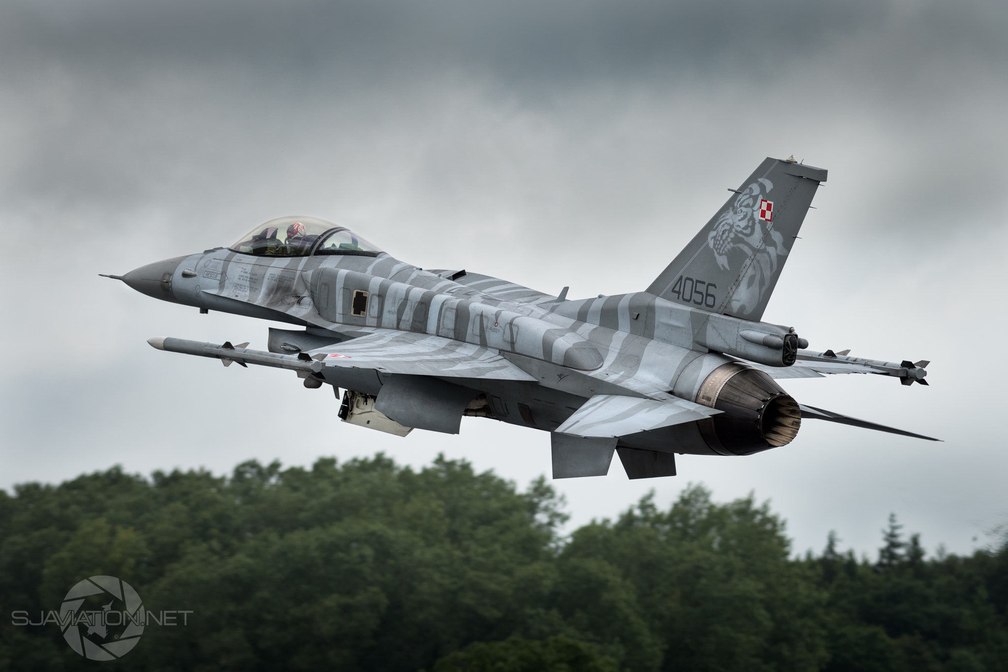 Nikon AF-S Nikkor 300mm F2.8G ED-IF VR sample photo. 'poznañ viper' photography