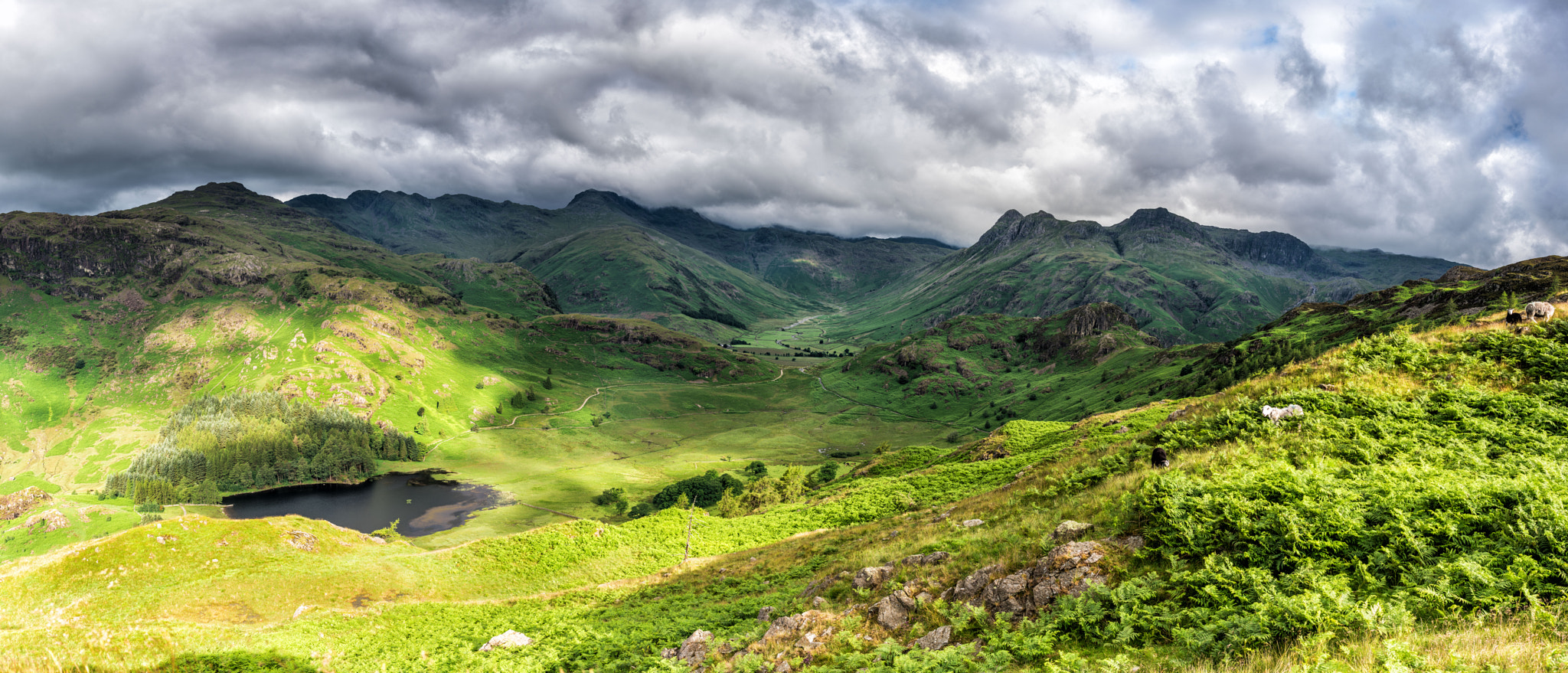 Nikon D810 + ZEISS Distagon T* 35mm F1.4 sample photo. Lingmoor fell pano photography