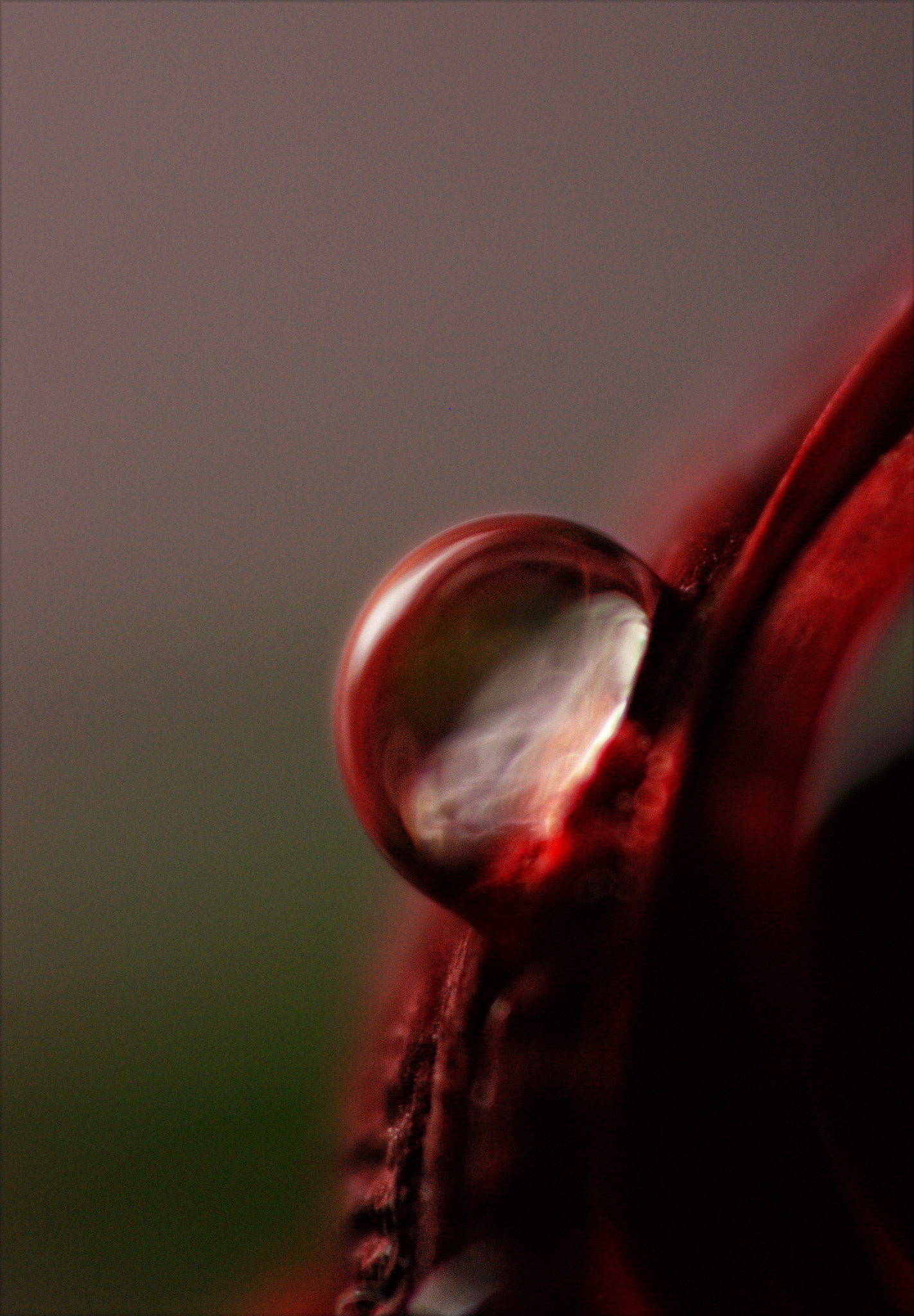 Nikon AF-S DX Micro-Nikkor 85mm F3.5G ED VR sample photo. ~ attachment ~ photography