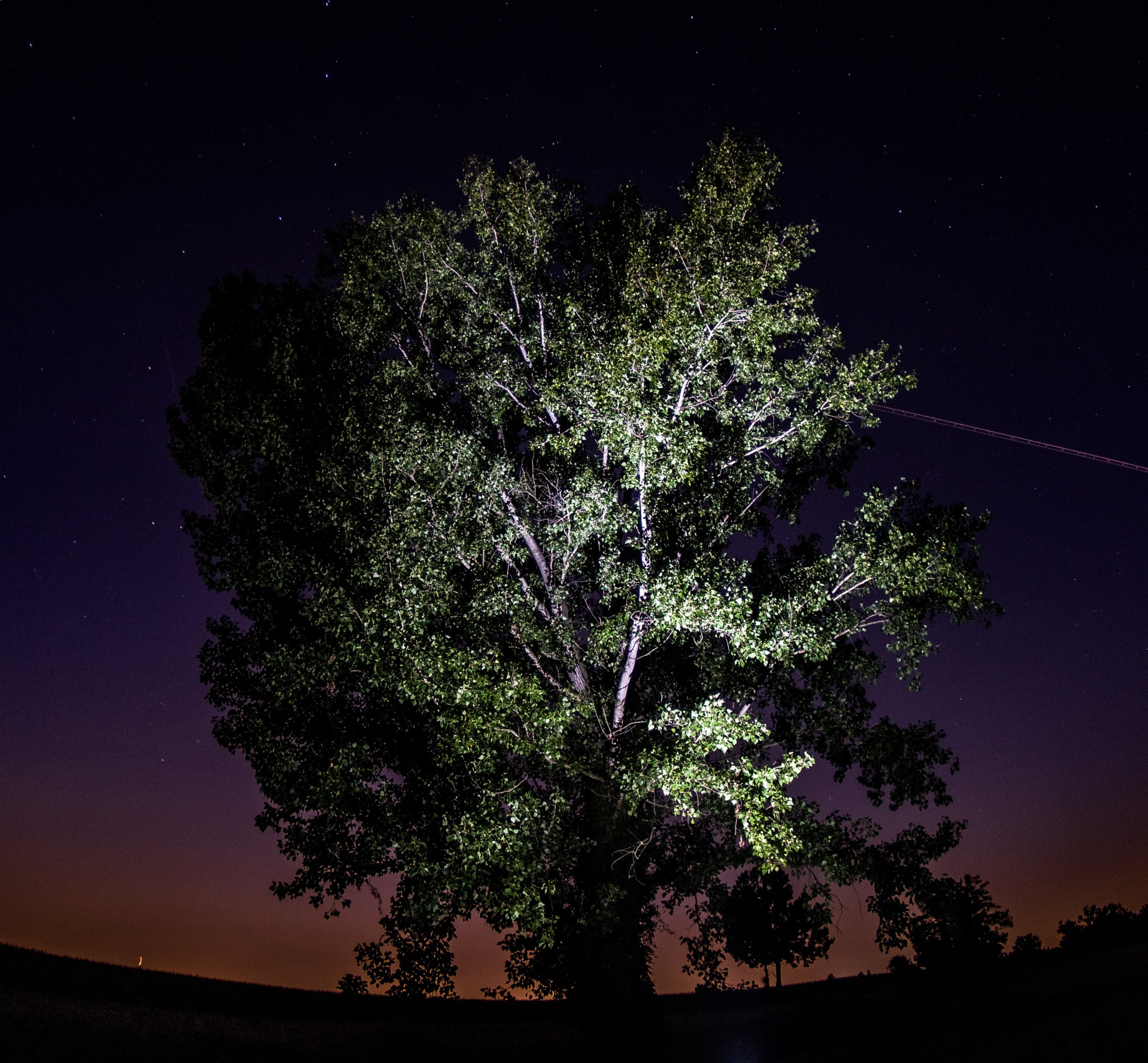 Canon 10-17mm sample photo. Night photography