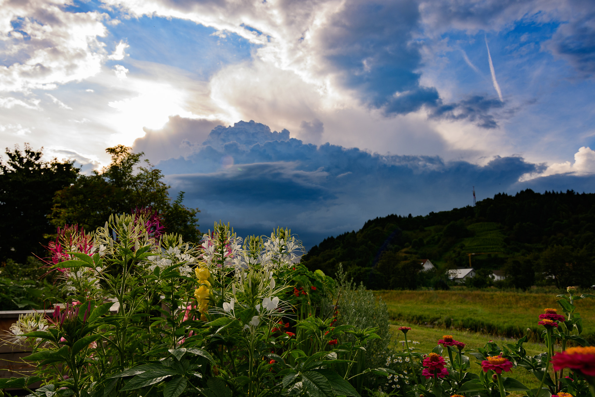 Nikon D500 sample photo. Vor dem gewitter photography