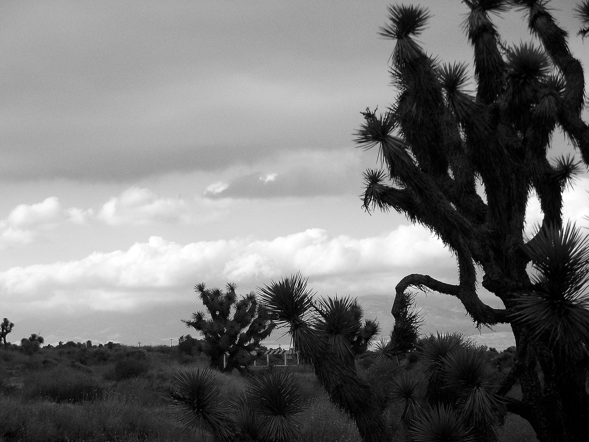 Kodak EasyShare Z915 sample photo. Storm warning photography