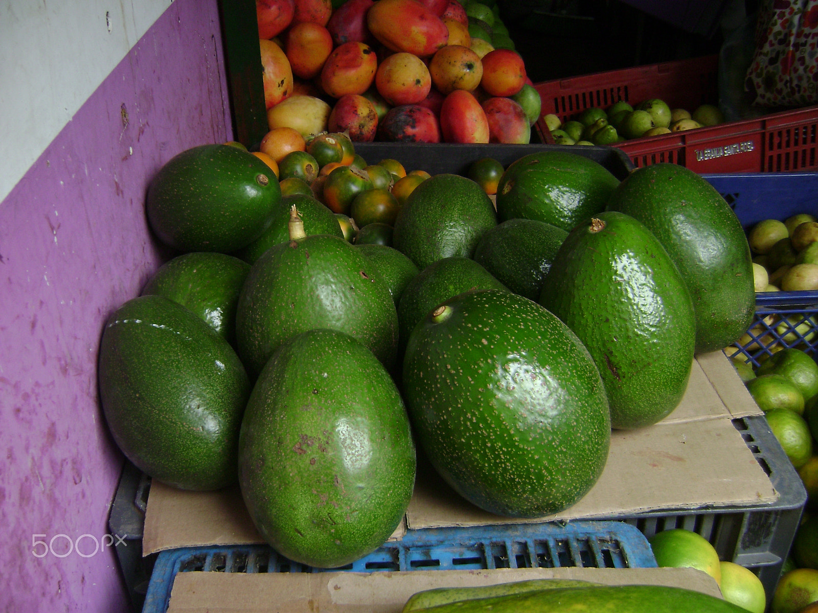 Sony DSC-S700 sample photo. Colombian aguacates photography