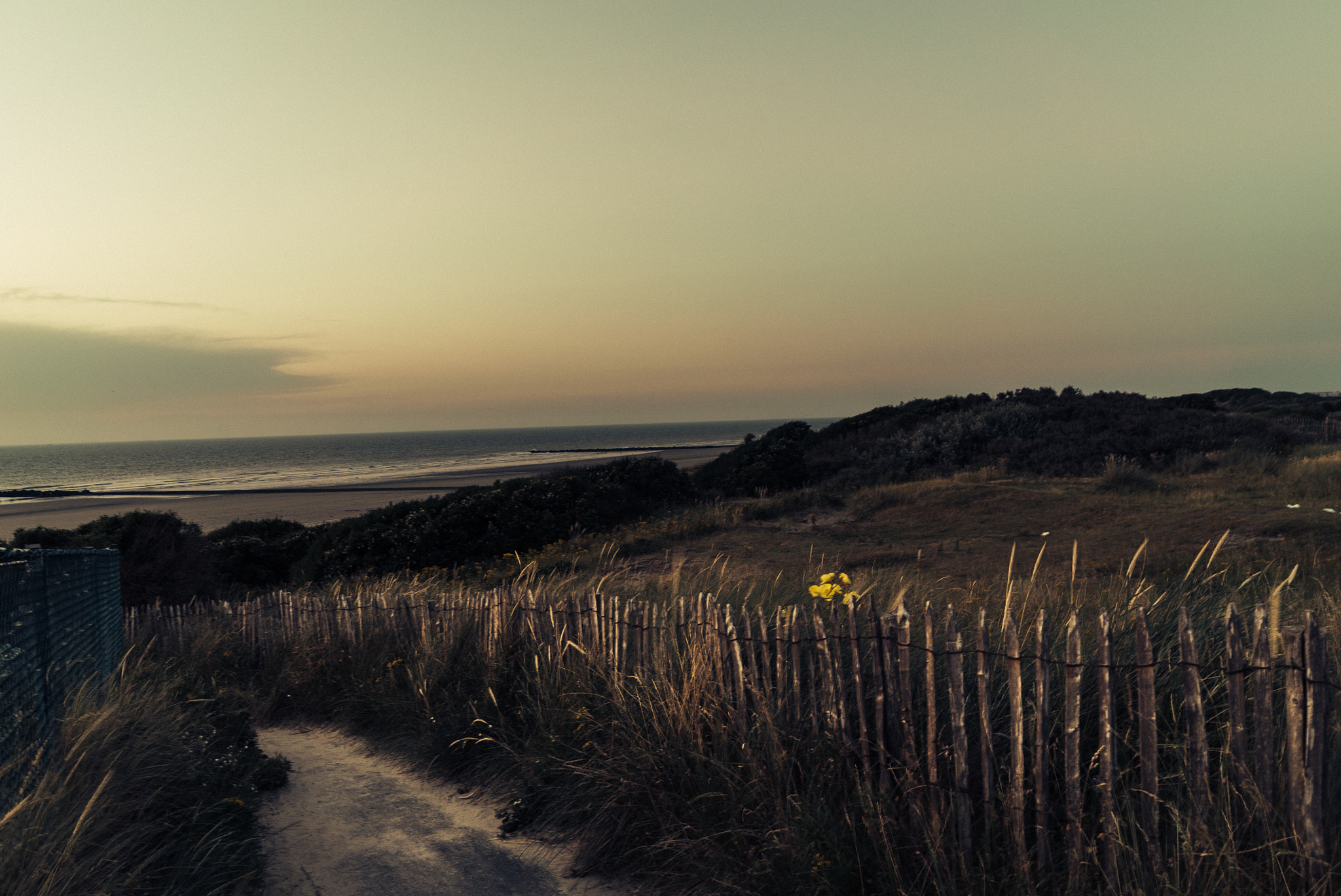 Sony FE 28mm F2 sample photo. Dunes sunset photography