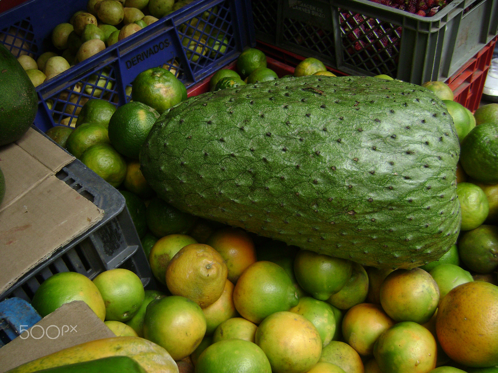 Sony DSC-S700 sample photo. Colombian guama / fruit photography