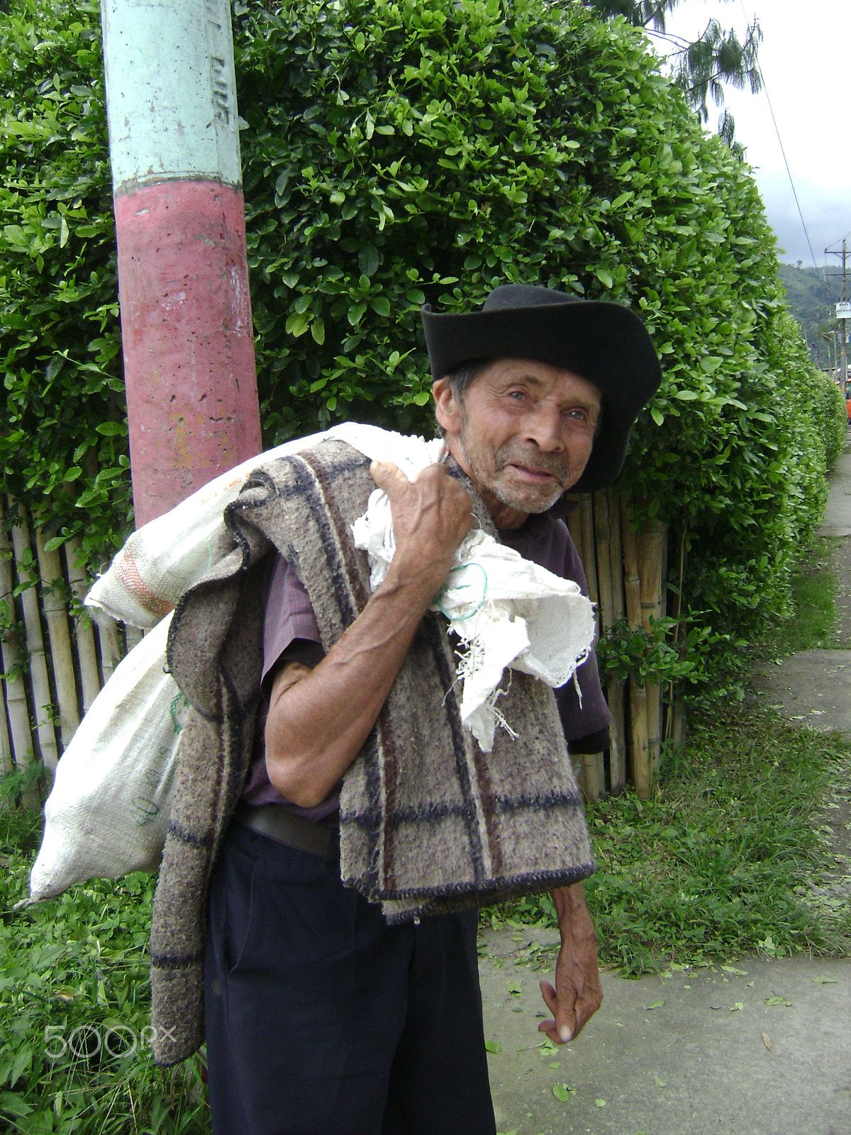 Sony DSC-S700 sample photo. Farmer photography