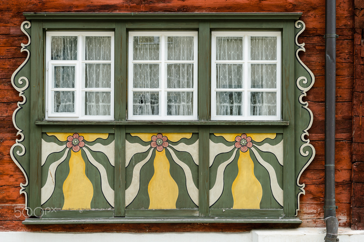 Nikon D4 sample photo. Window photography