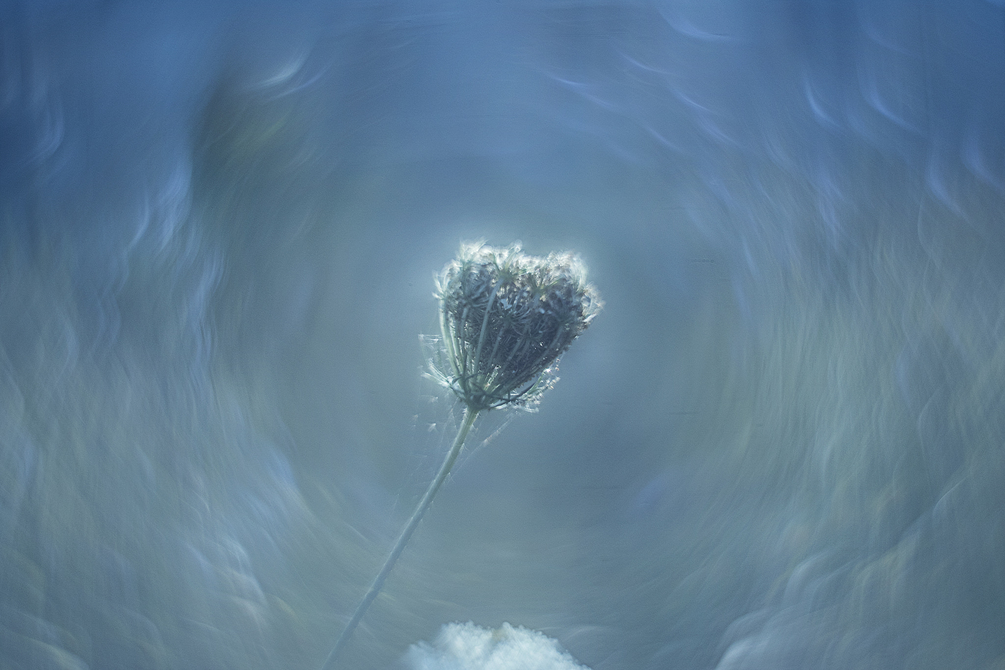 Canon EF 35-80mm f/4-5.6 sample photo. Lost in the cloud photography
