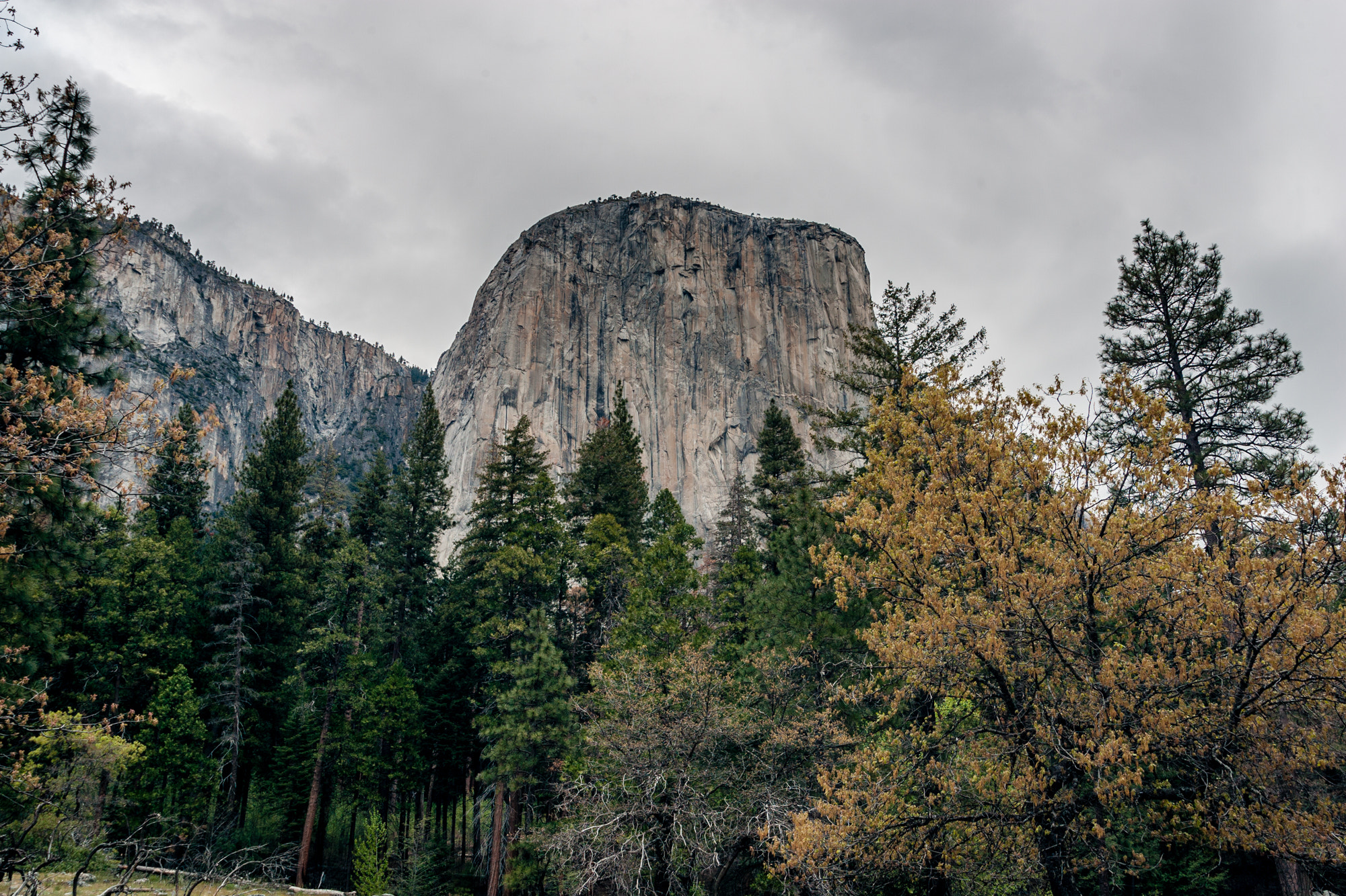 Canon EOS-1D Mark II sample photo. Yosemite photography