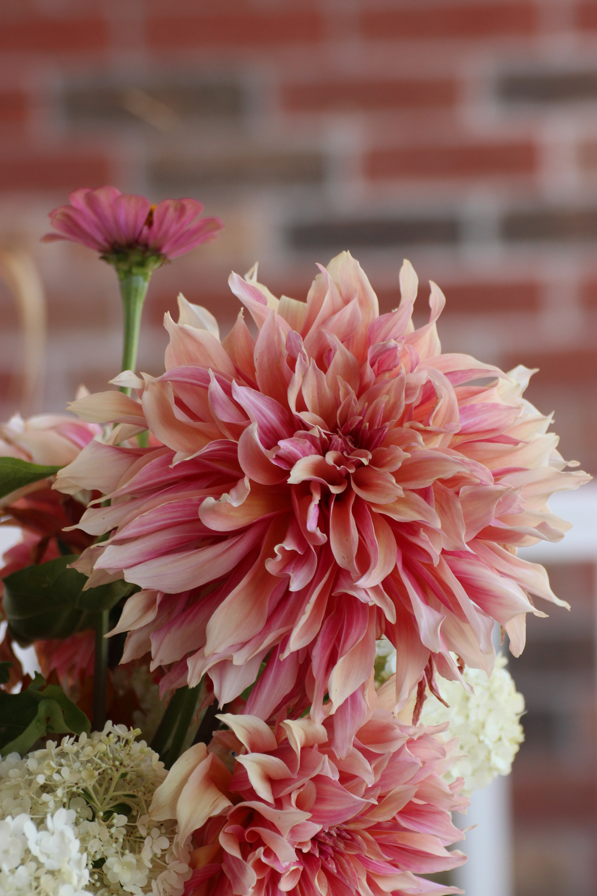 Tamron SP 35mm F1.8 Di VC USD sample photo. Blooming labyrinth photography