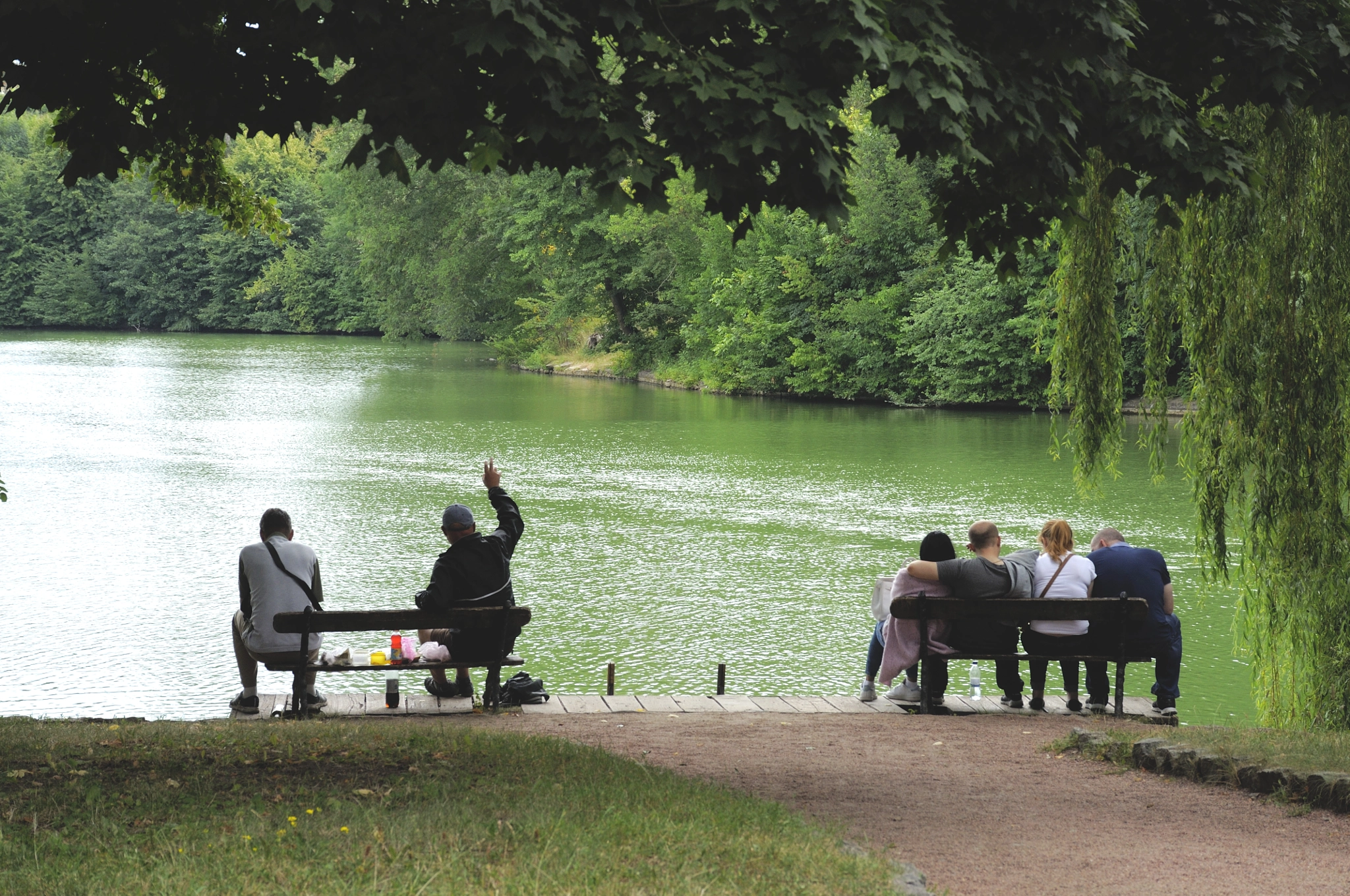 Nikon D5000 sample photo. The pond of hopes and memories photography