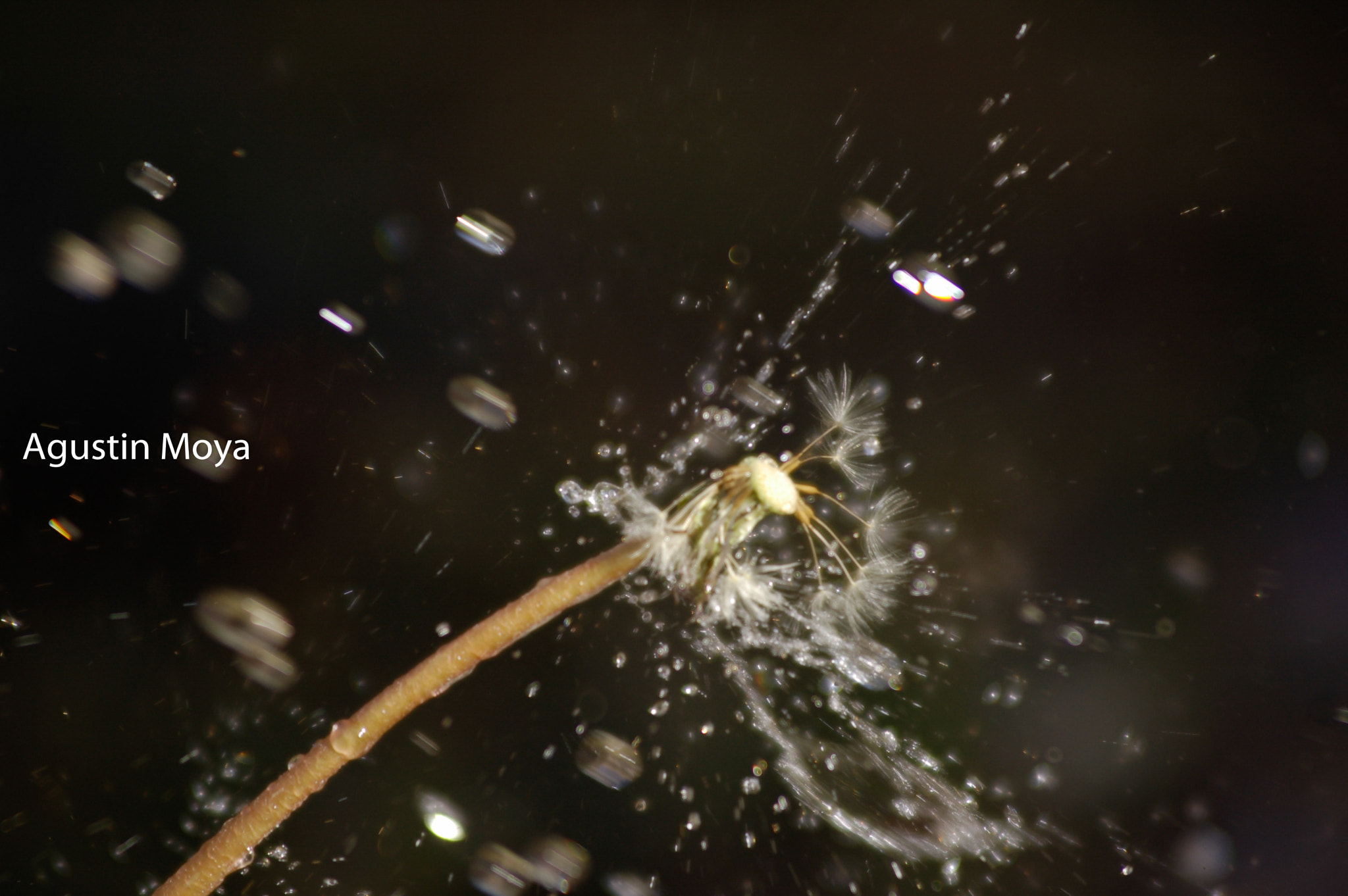 Nikon D50 sample photo. San jaun - agusmoya () photography