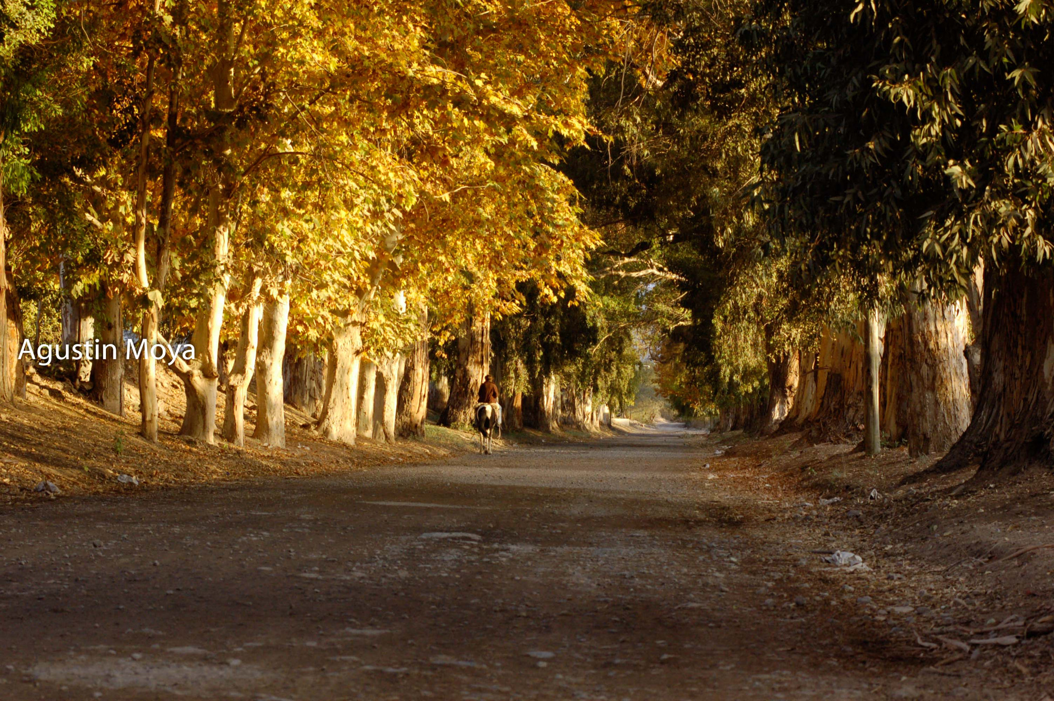 Nikon D50 sample photo. San jaun - agusmoya () photography
