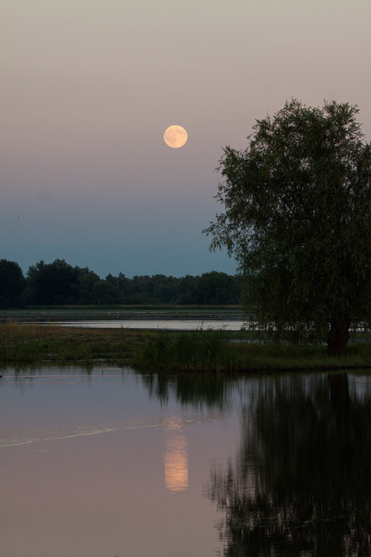 Canon EF 100-400mm F4.5-5.6L IS USM sample photo. Rising full moon photography