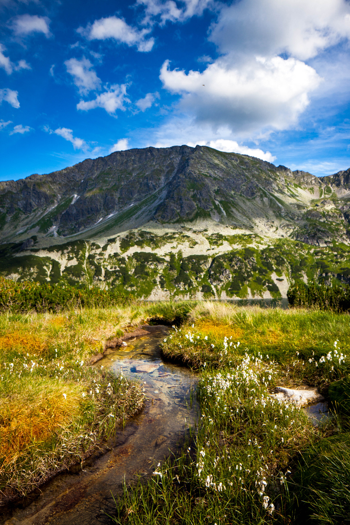 Canon TS-E 24.0mm f/3.5 L II sample photo. Dolina pieciu stawow polskich photography