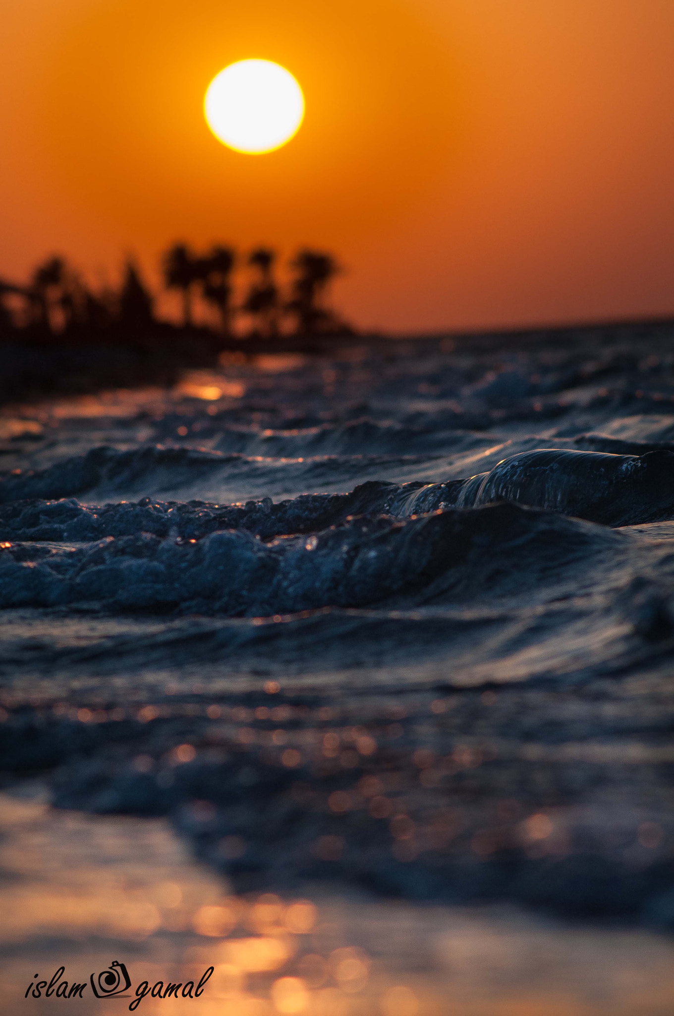 Nikon D5000 sample photo. Sun at the beach photography