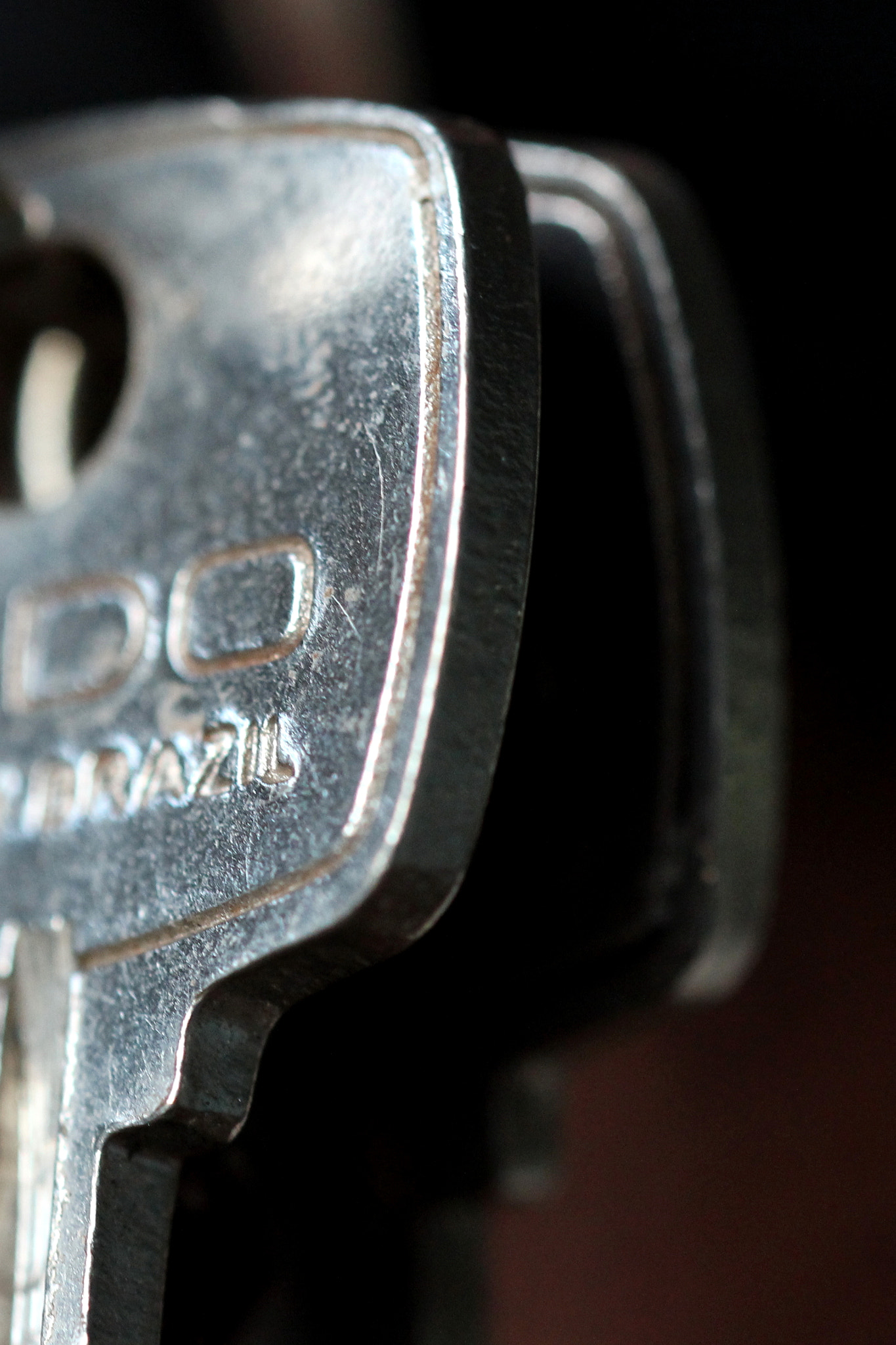 Sigma 150mm f/2.8 EX DG OS HSM APO Macro sample photo. Brazil photography