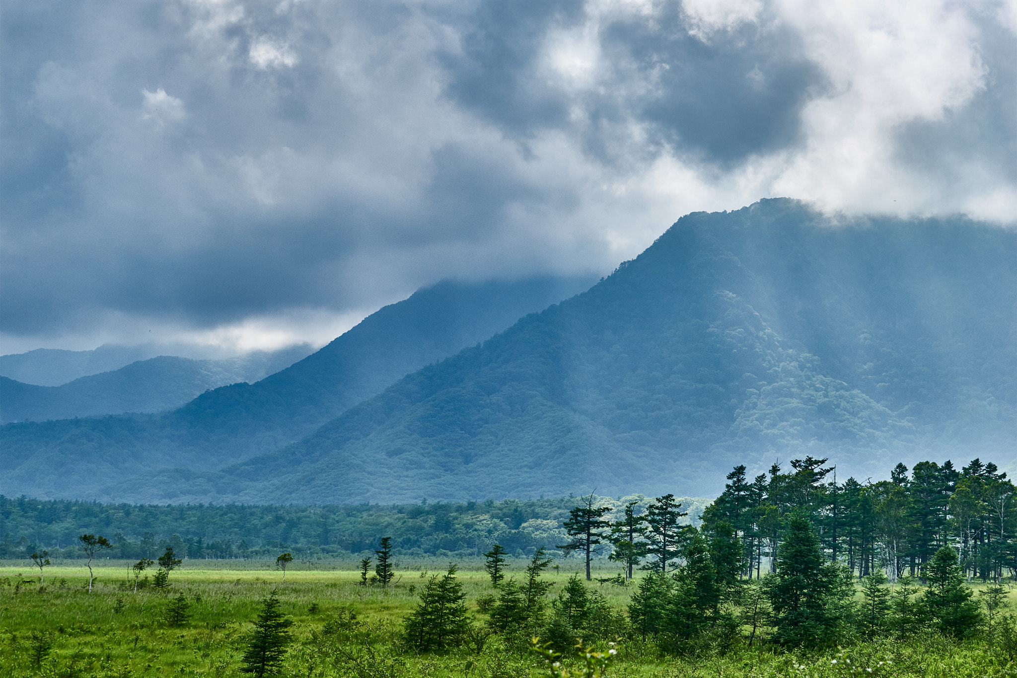 Sony a7 II + Sony 70-400mm F4-5.6 G SSM II sample photo. A moment from the heaven photography