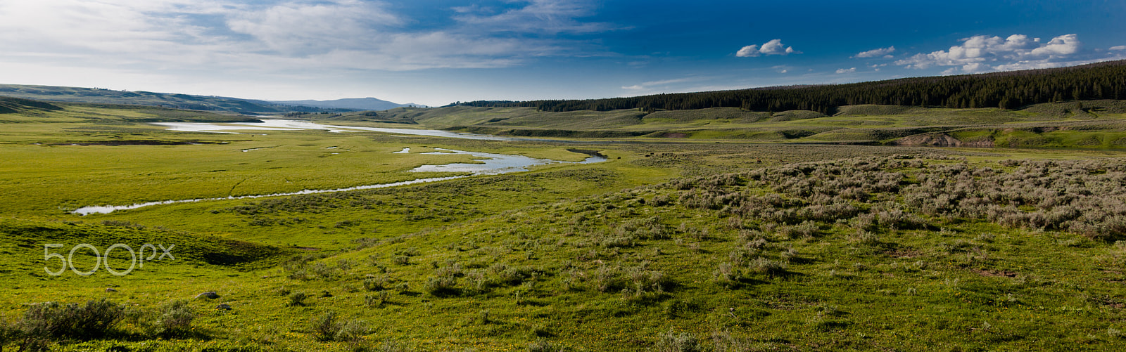 Canon EOS-1D Mark II sample photo. Hayden valley 8507 photography