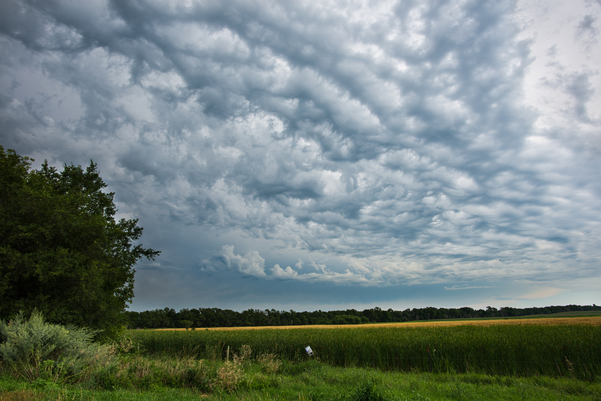 Nikon D600 + Nikon AF-S Nikkor 20mm F1.8G ED sample photo. Circle of clouds photography