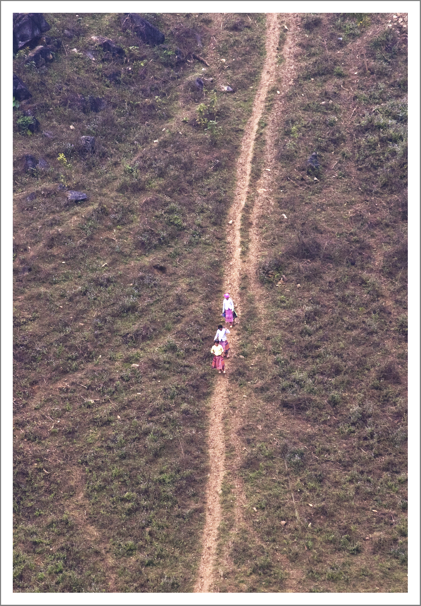 Nikon D2Hs sample photo. Down the hill (than uyen - lai chau - vietnam) photography