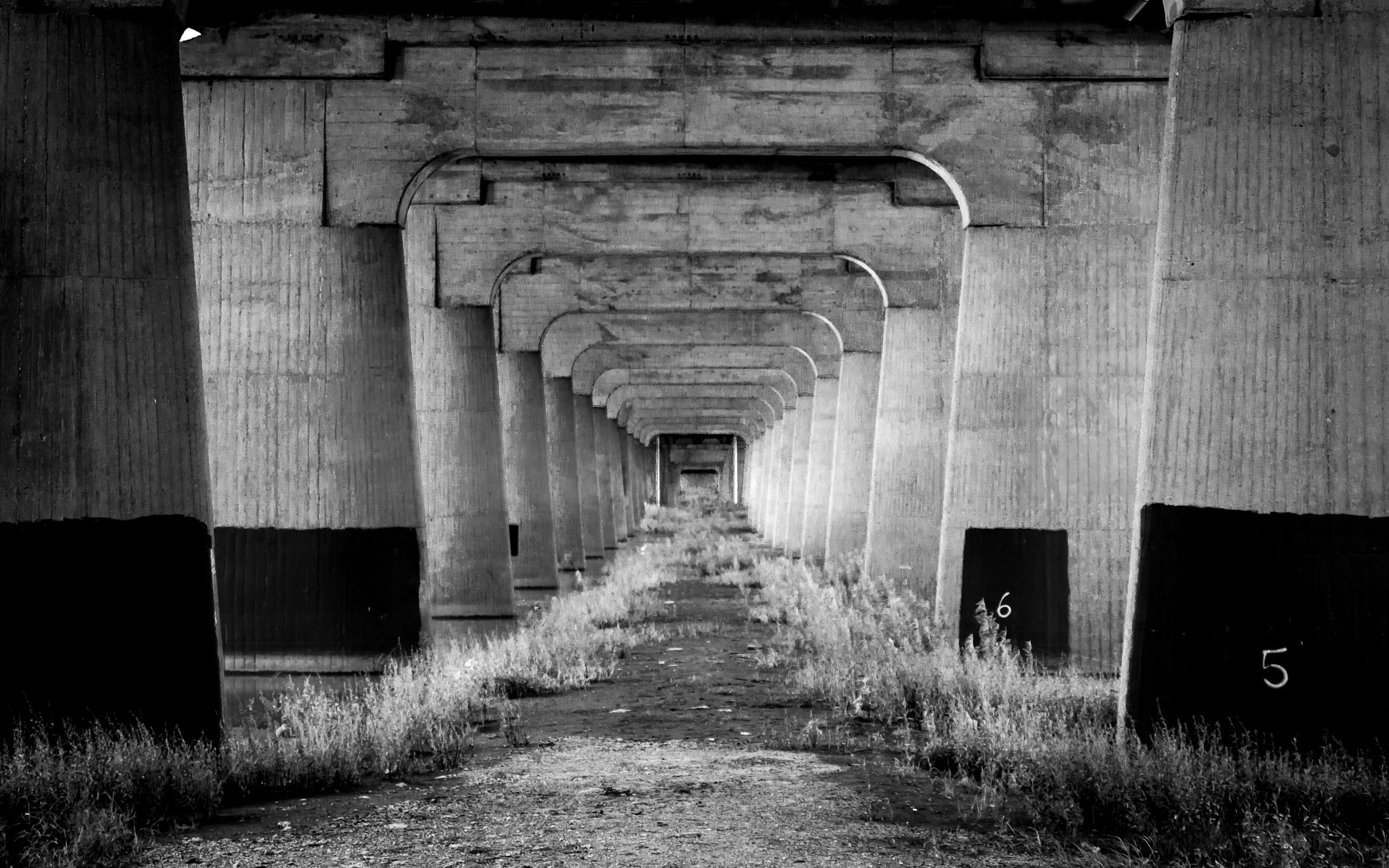 Sigma 17-70mm F2.8-4 DC Macro OS HSM sample photo. Under the bridge photography