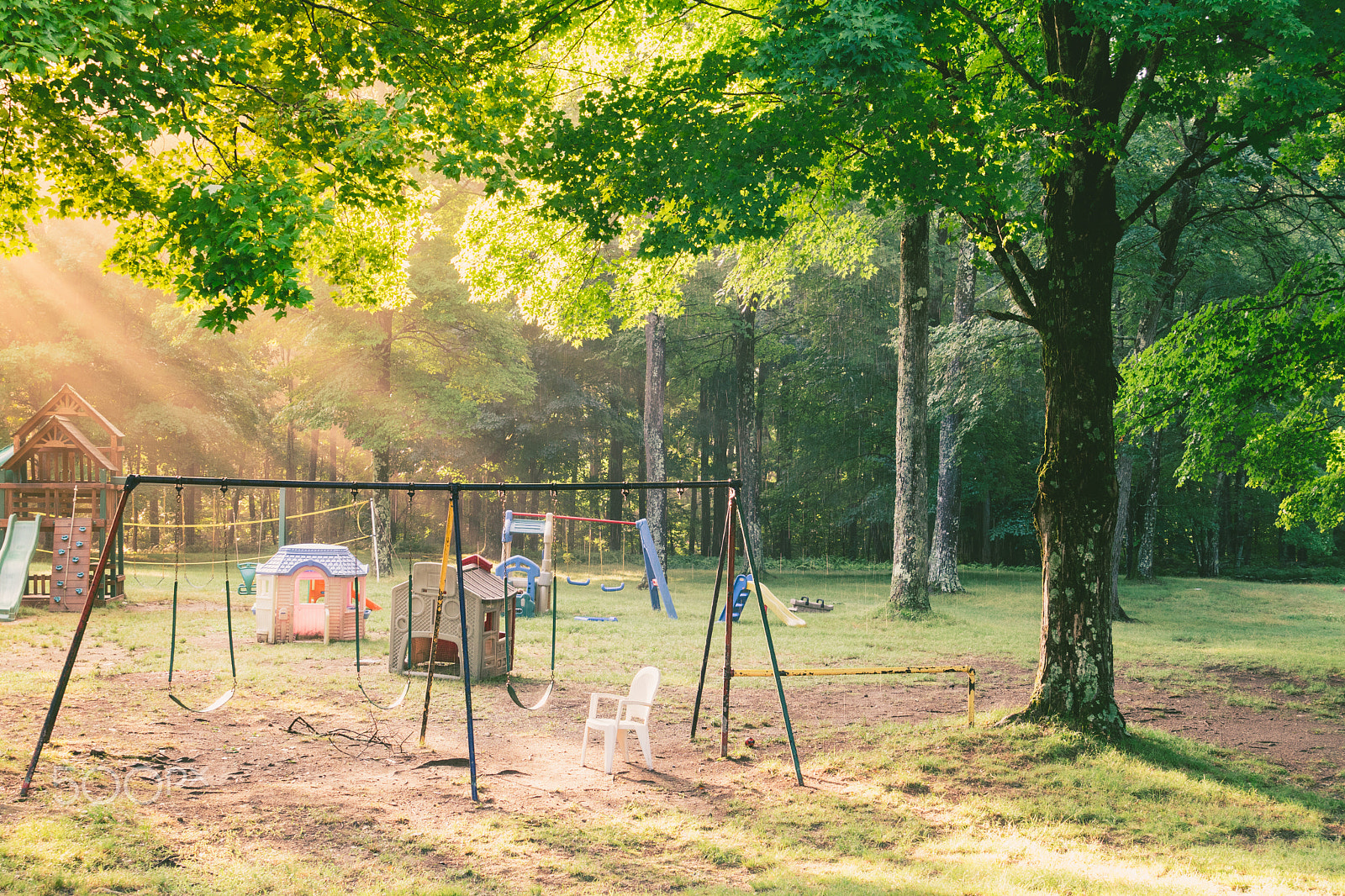 Sony a6300 + Sony Vario Tessar T* FE 24-70mm F4 ZA OSS sample photo. Sunrise in the woods photography