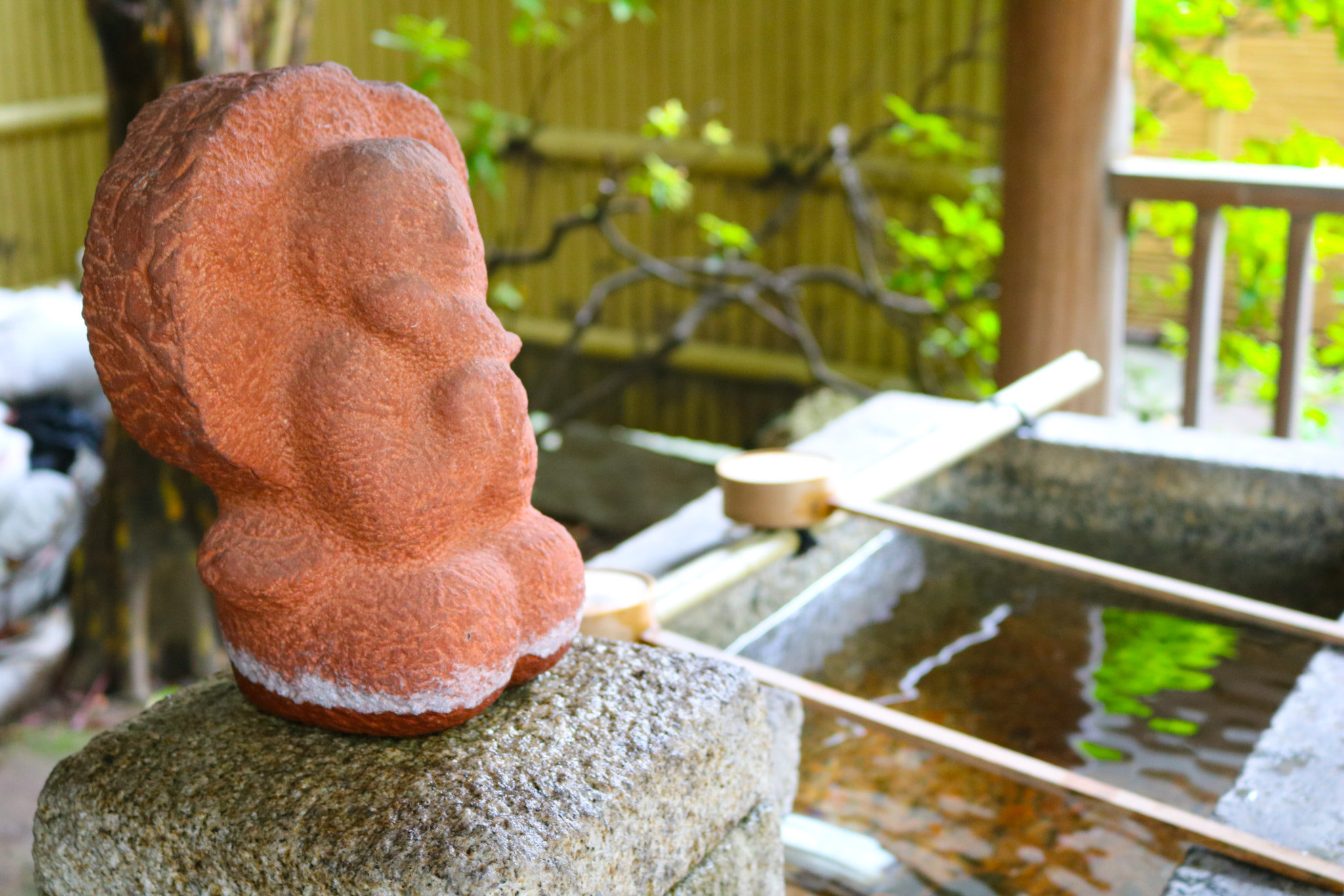 Canon EOS 750D (EOS Rebel T6i / EOS Kiss X8i) sample photo. Clean-up photography