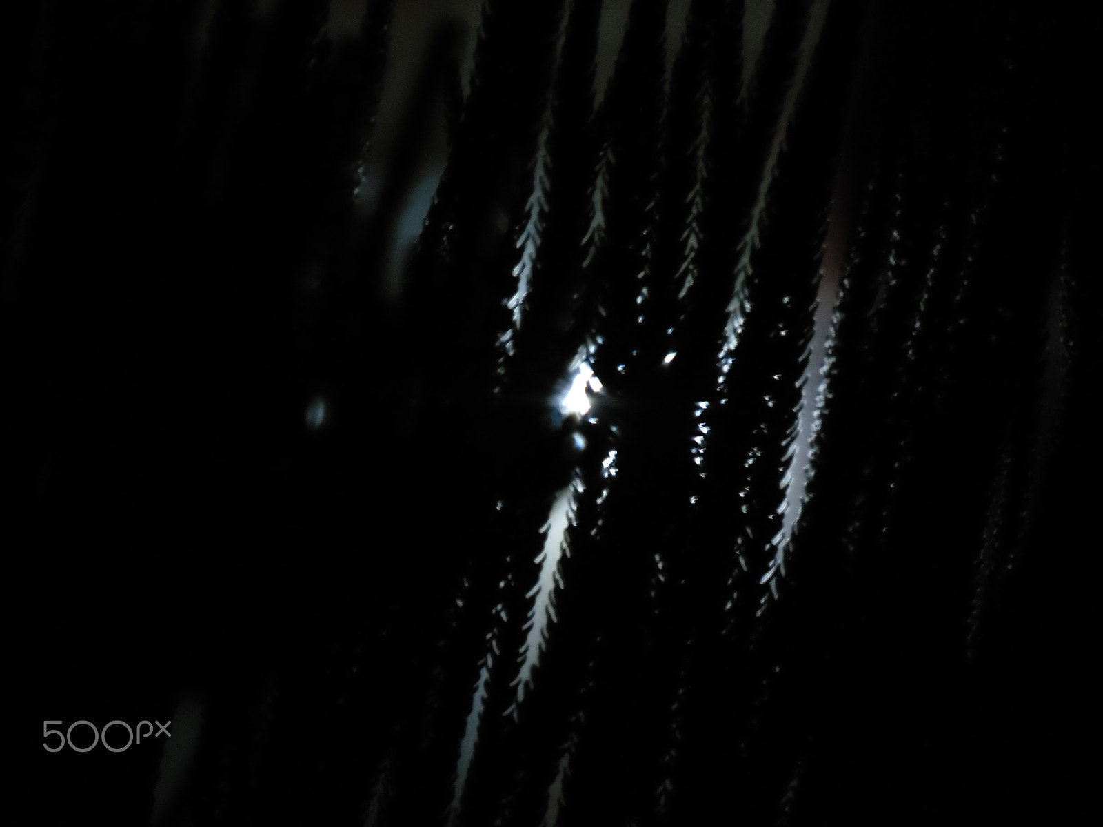 Samsung WB2200F sample photo. Khaled 3 photography