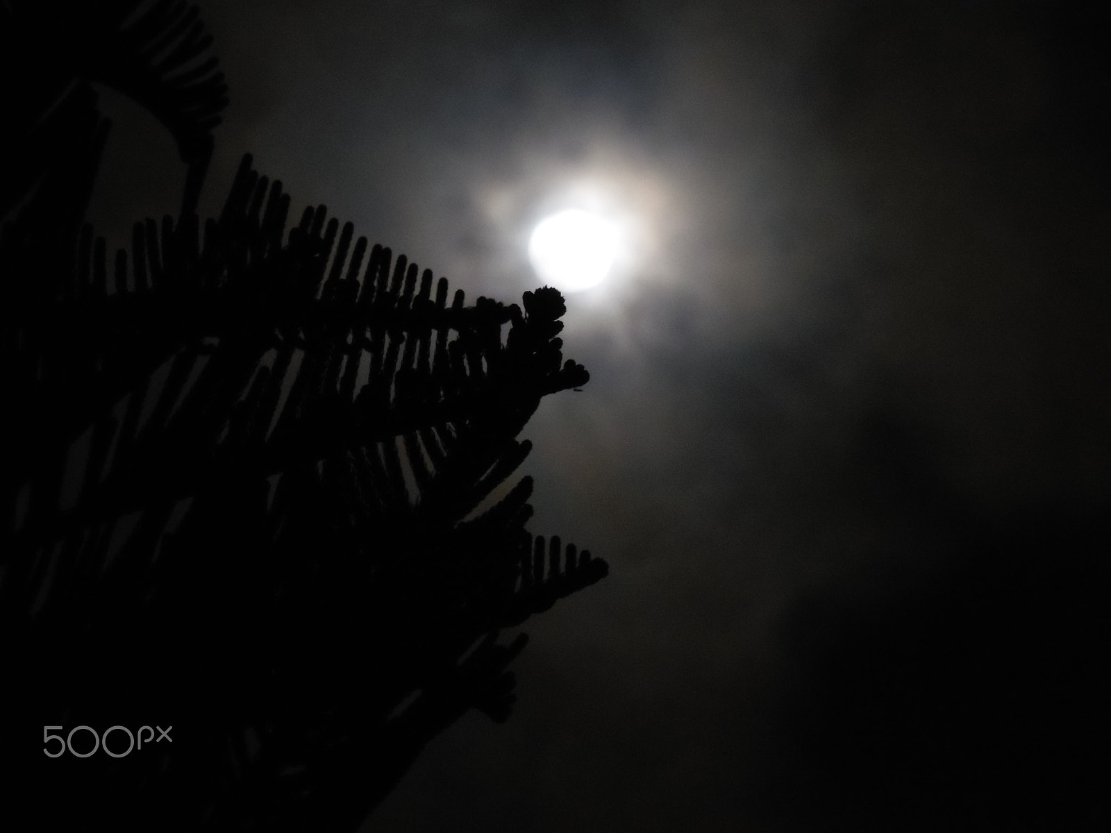 Samsung WB2200F sample photo. Khaledtag 5 photography