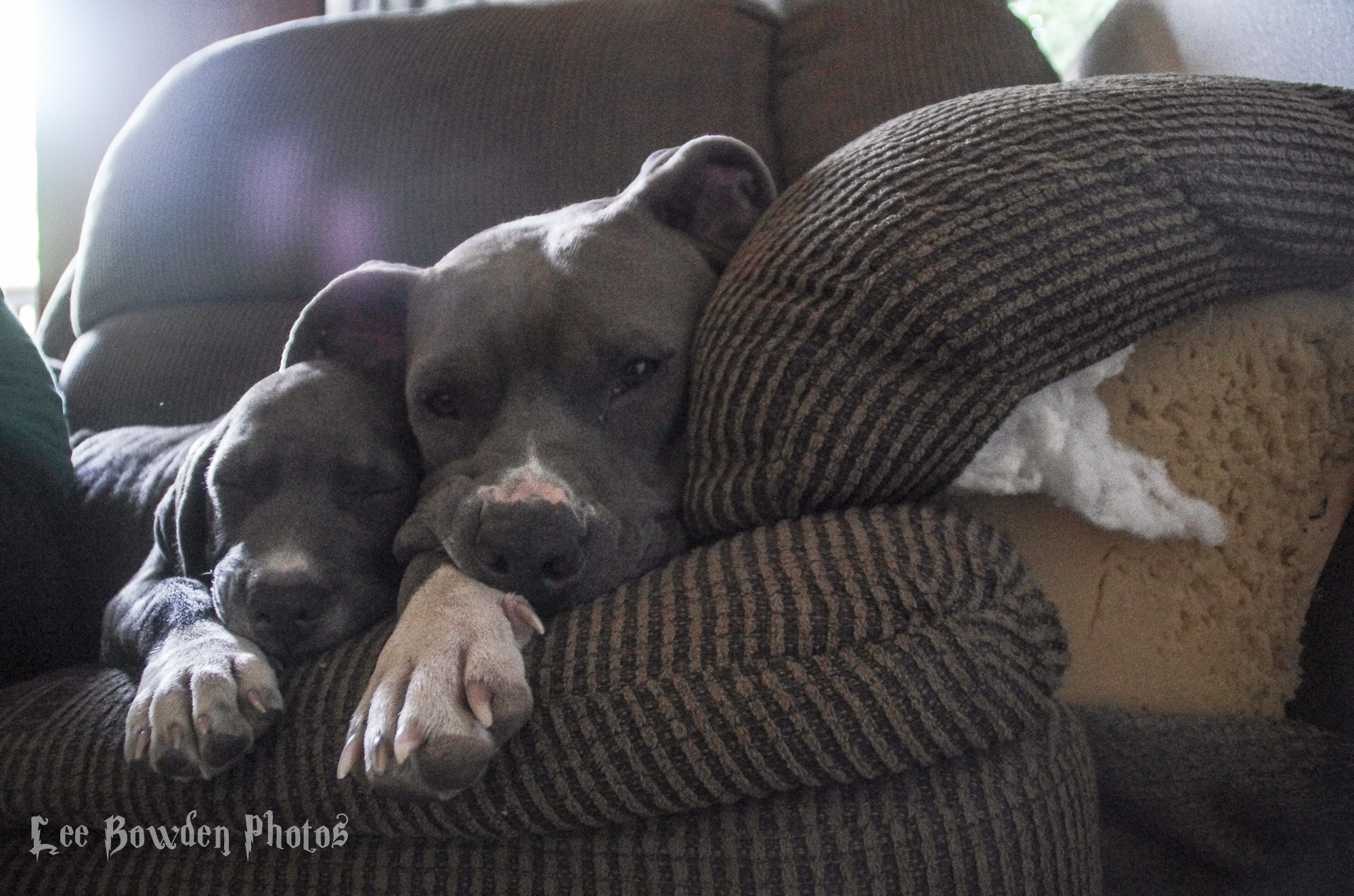 Pentax K-5 II sample photo. Matching mama mary & sue boy blue photography